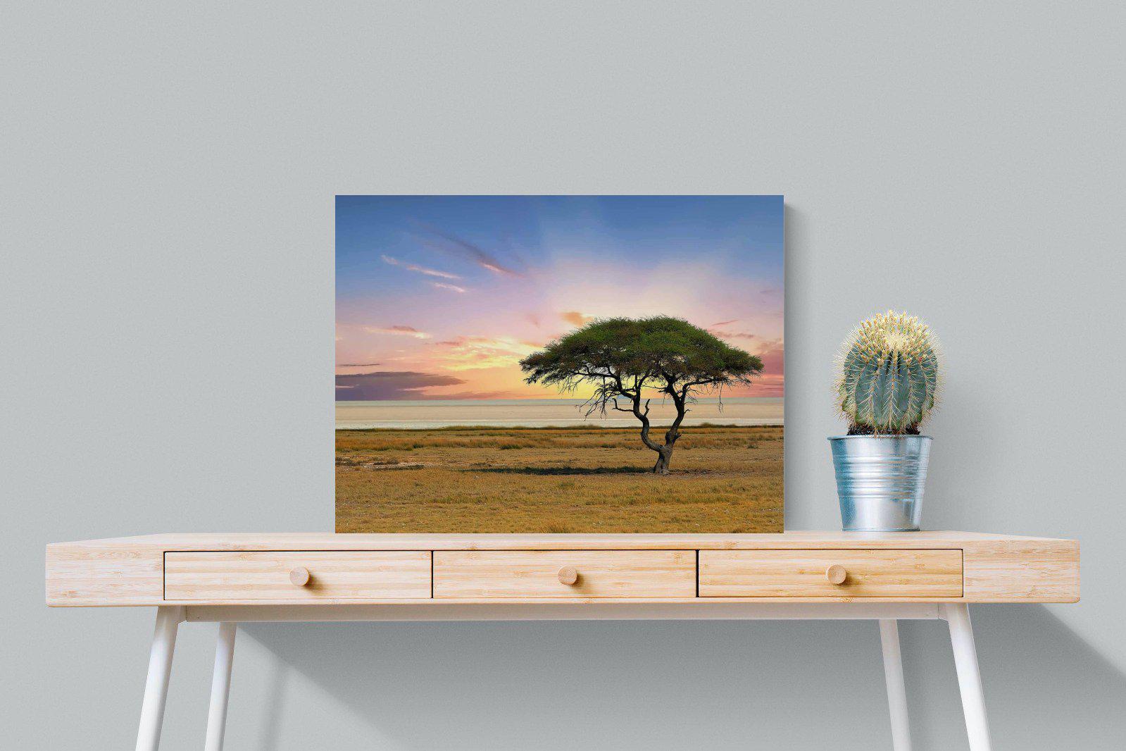 Acacia Tree-Wall_Art-80 x 60cm-Mounted Canvas-No Frame-Pixalot