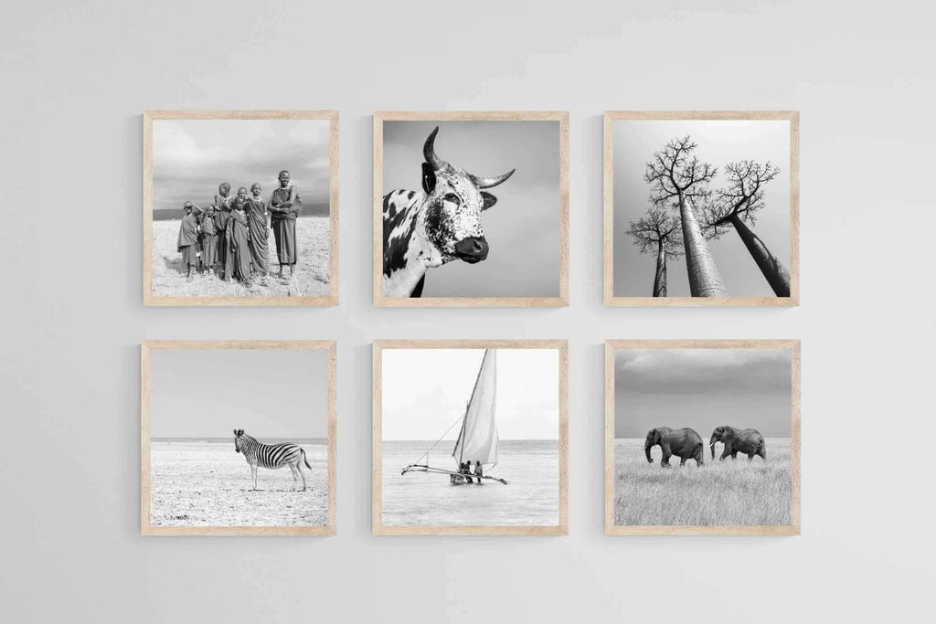 Africa Set-Wall_Art-40 x 40cm (x6)-Mounted Canvas-Wood-Pixalot