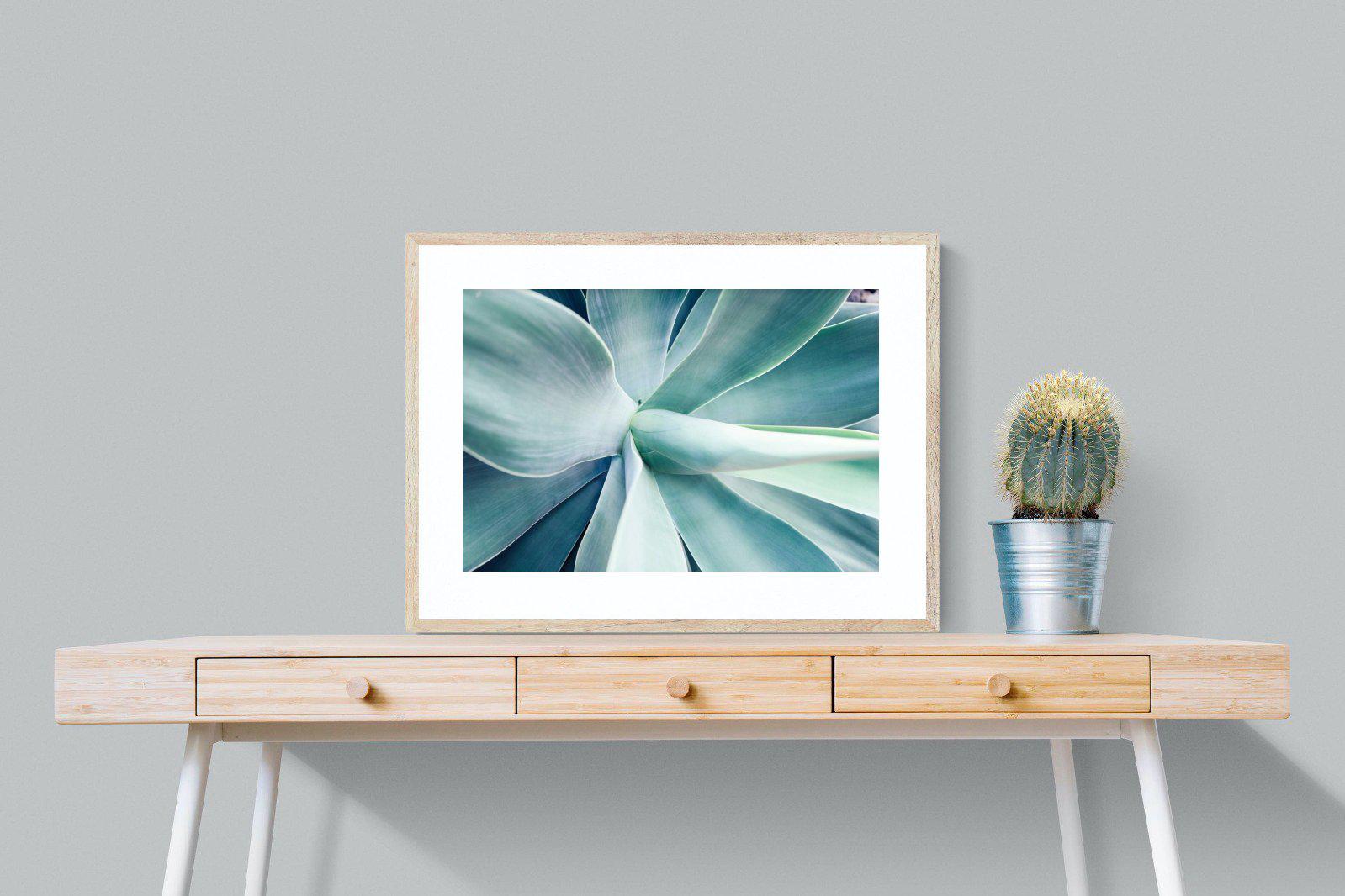 Agave-Wall_Art-80 x 60cm-Framed Print-Wood-Pixalot