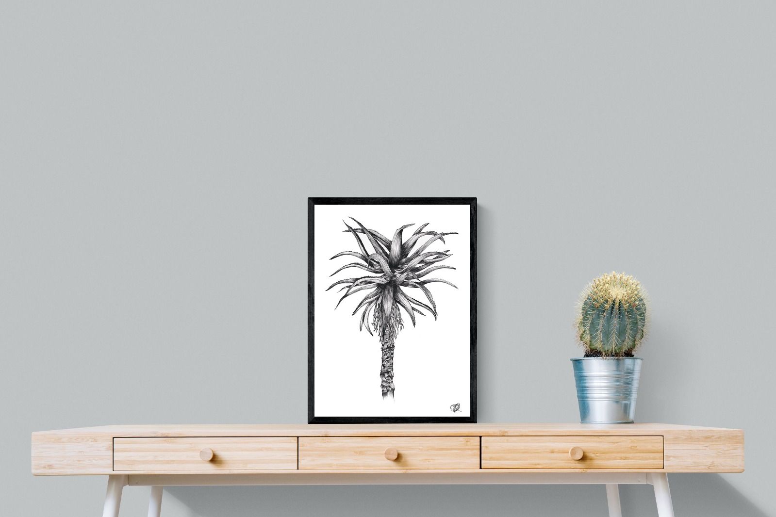 Aloe Illustration-Wall_Art-45 x 60cm-Mounted Canvas-Black-Pixalot