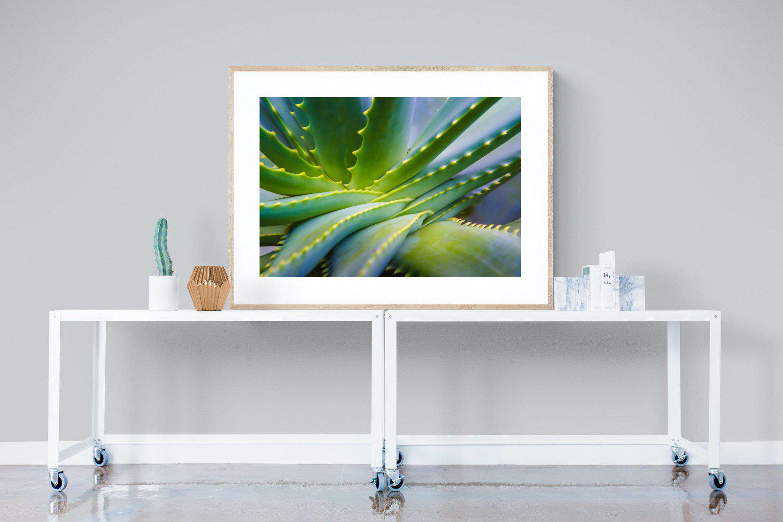 Aloe Vera-Wall_Art-120 x 90cm-Framed Print-Wood-Pixalot