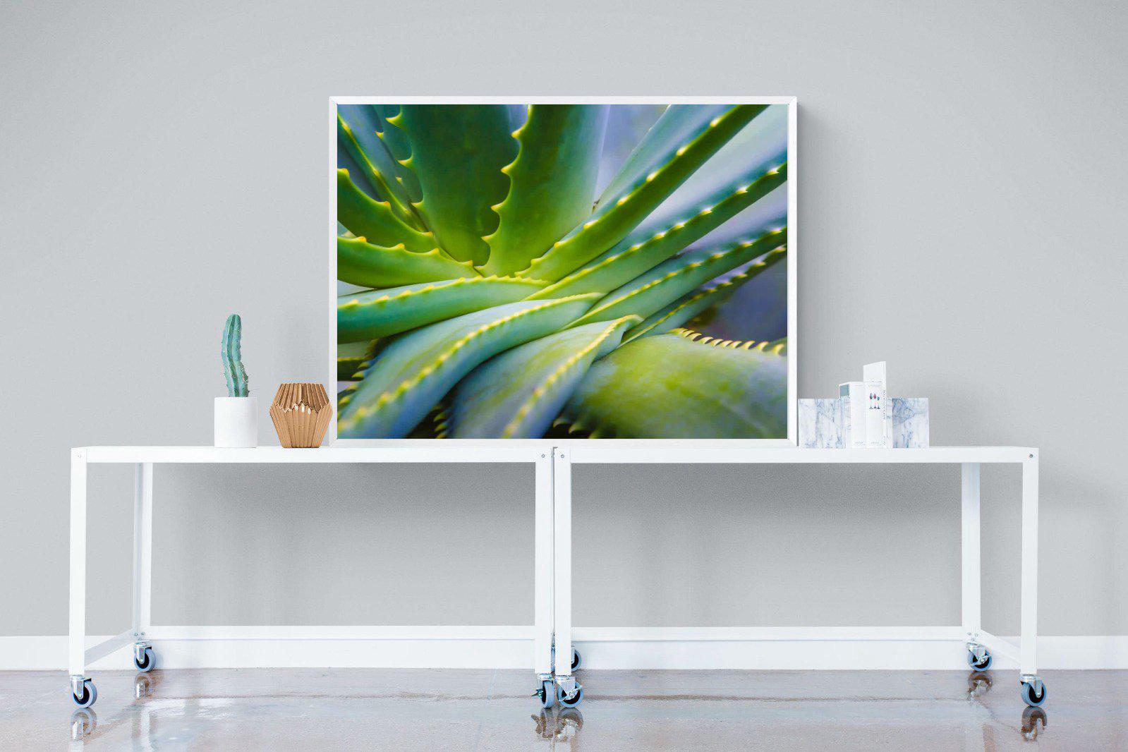 Aloe Vera-Wall_Art-120 x 90cm-Mounted Canvas-White-Pixalot