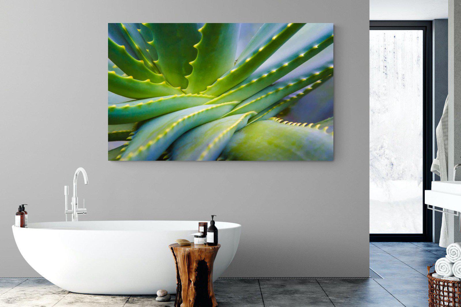 Aloe Vera-Wall_Art-180 x 110cm-Mounted Canvas-No Frame-Pixalot