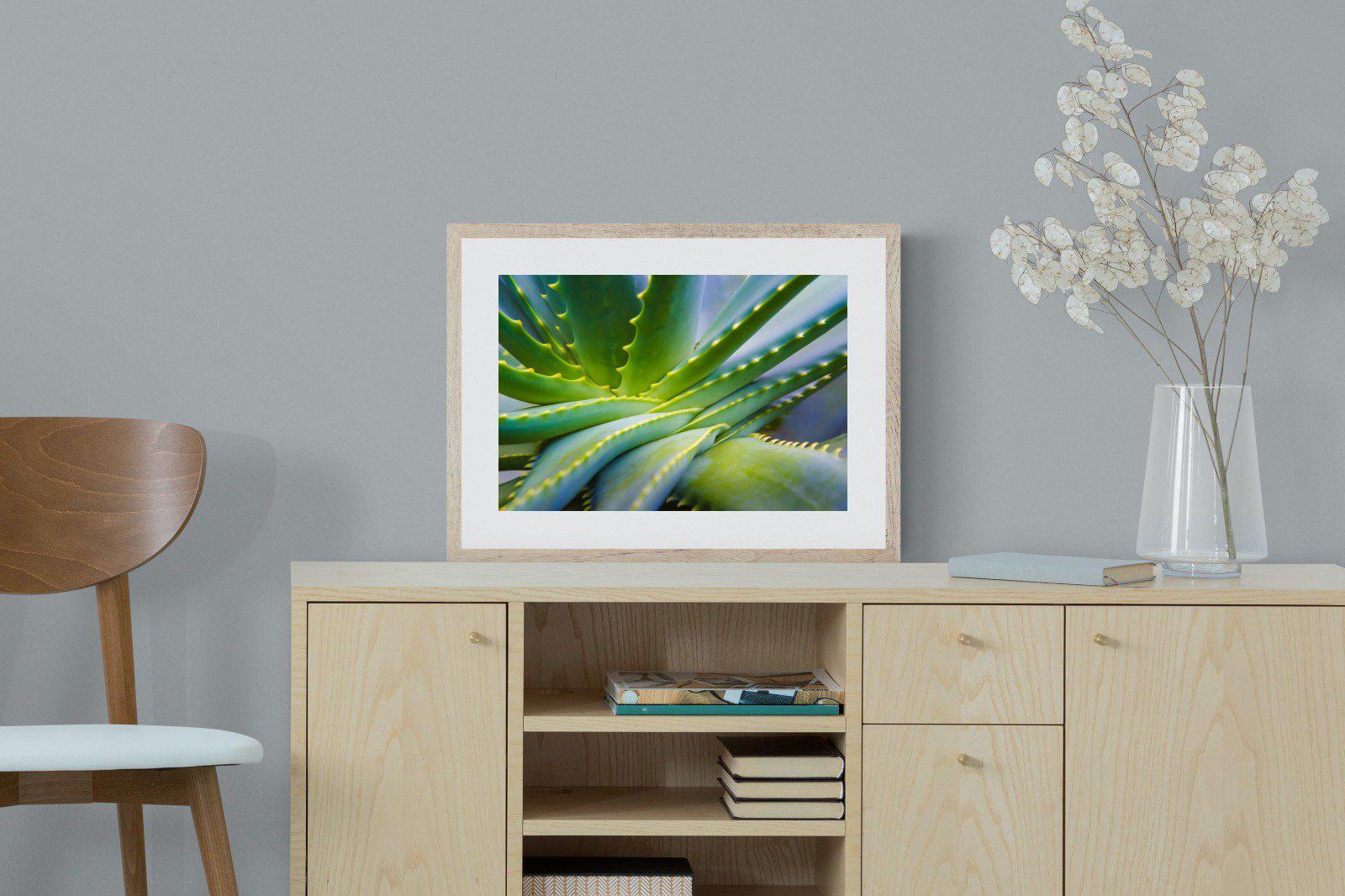 Aloe Vera-Wall_Art-60 x 45cm-Framed Print-Wood-Pixalot