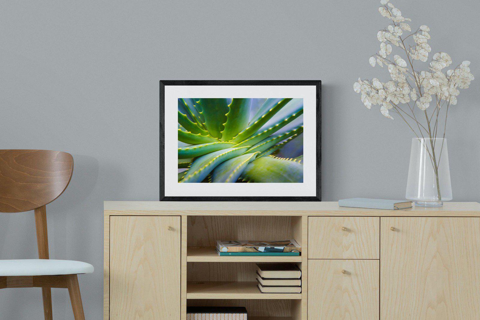 Aloe Vera-Wall_Art-60 x 45cm-Framed Print-Black-Pixalot