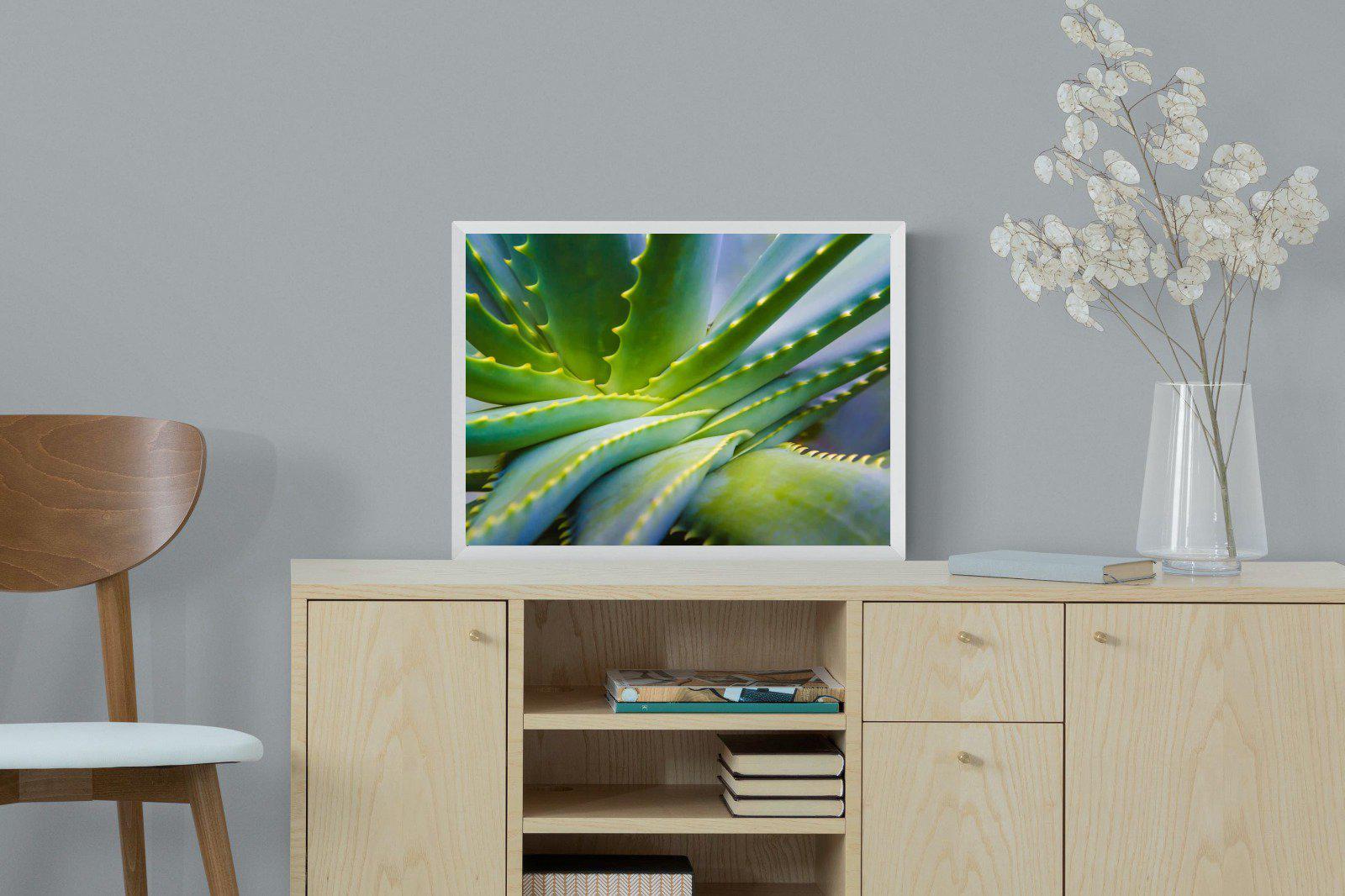 Aloe Vera-Wall_Art-60 x 45cm-Mounted Canvas-White-Pixalot