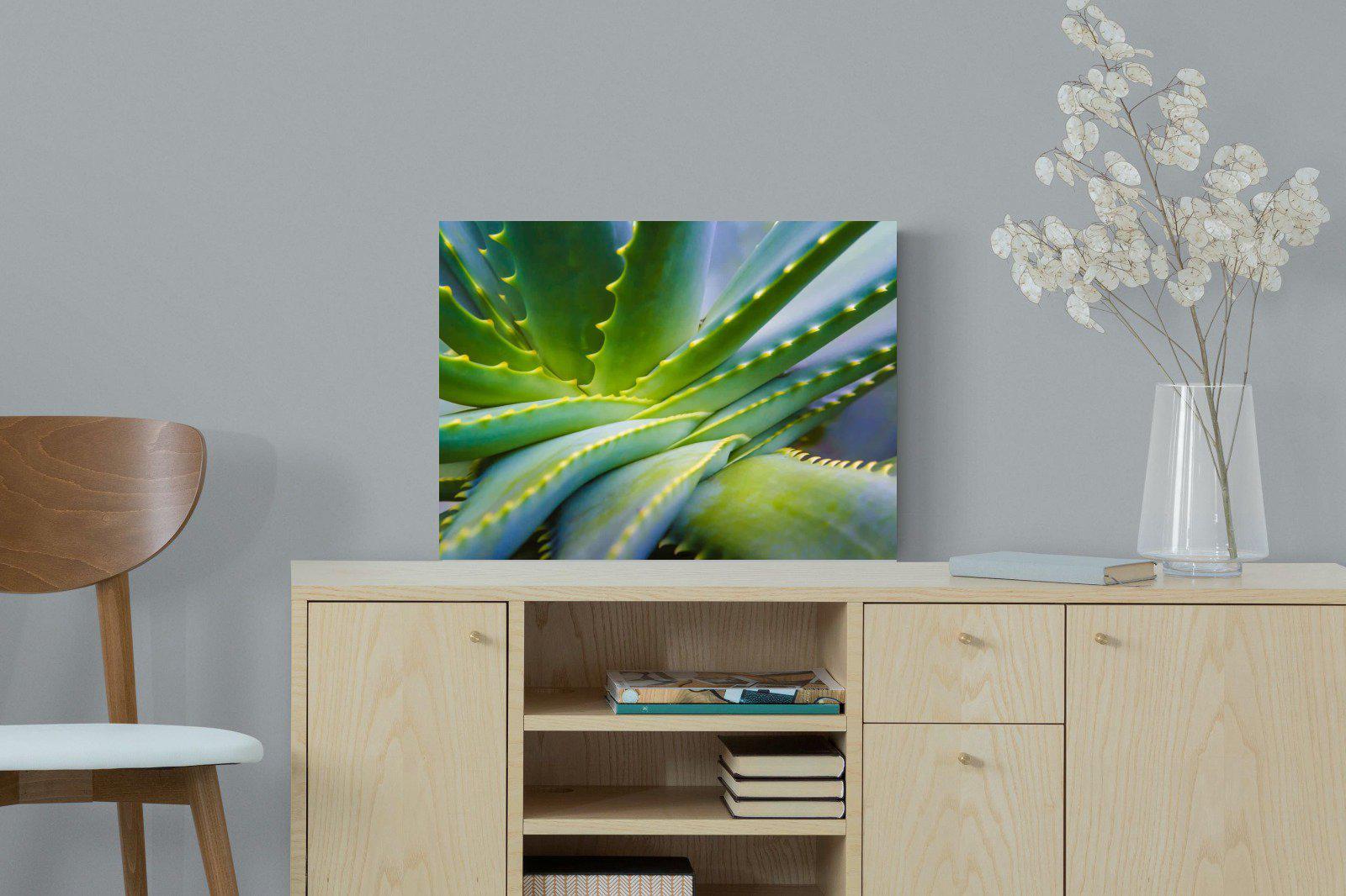 Aloe Vera-Wall_Art-60 x 45cm-Mounted Canvas-No Frame-Pixalot