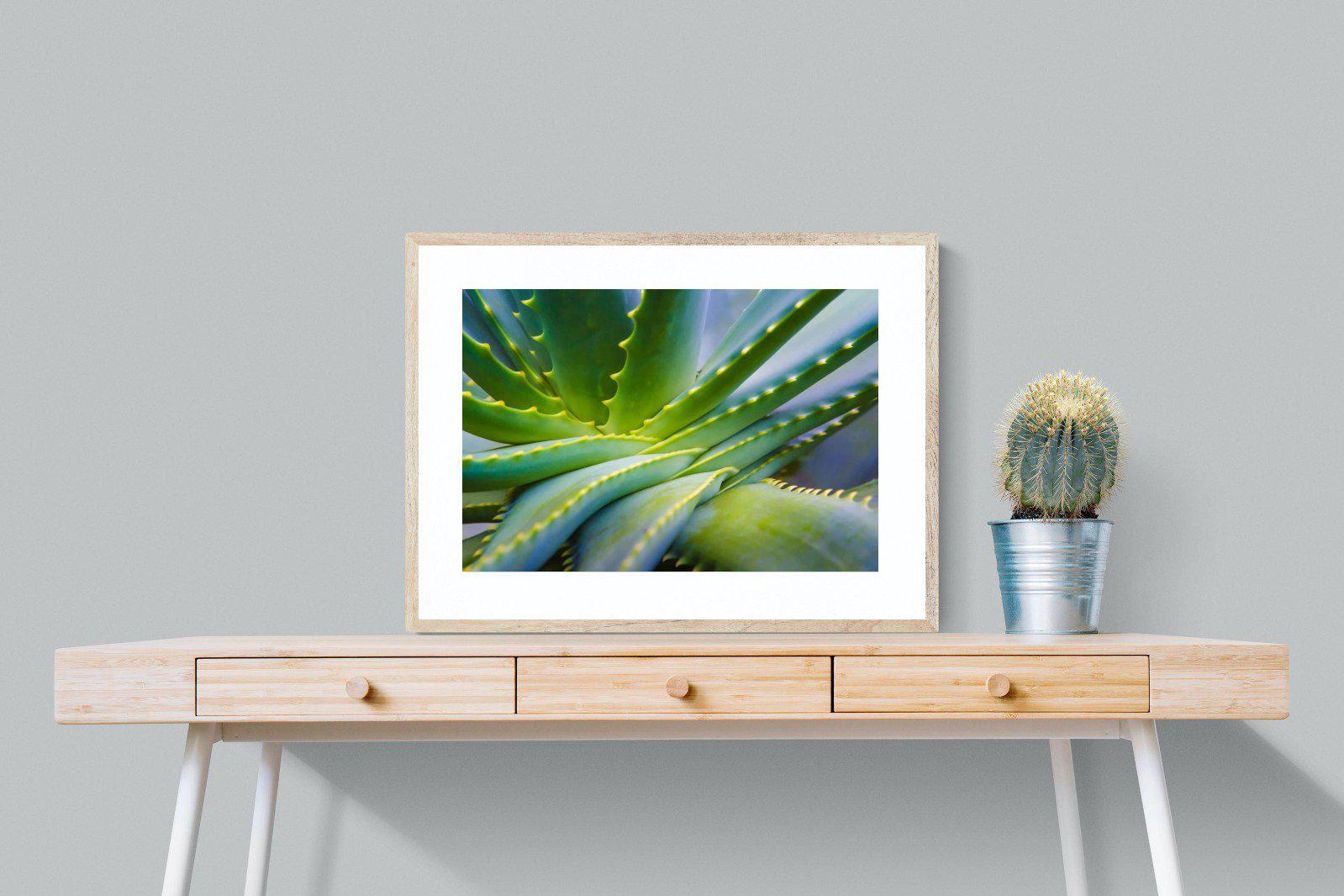 Aloe Vera-Wall_Art-80 x 60cm-Framed Print-Wood-Pixalot