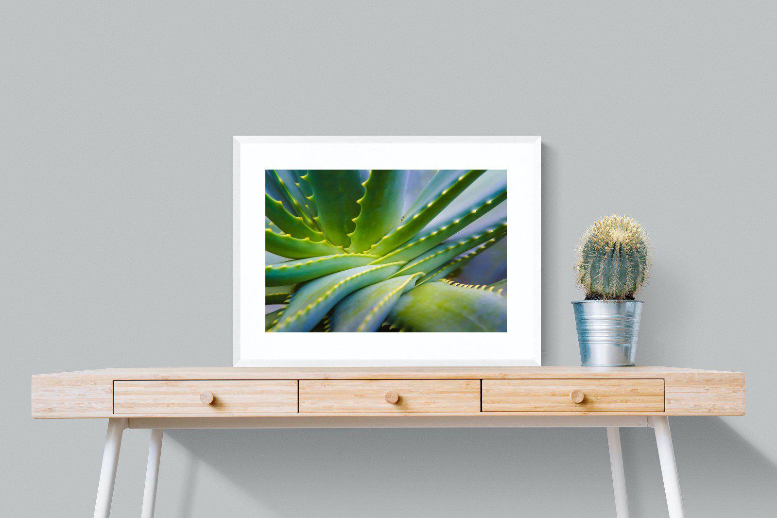 Aloe Vera-Wall_Art-80 x 60cm-Framed Print-White-Pixalot