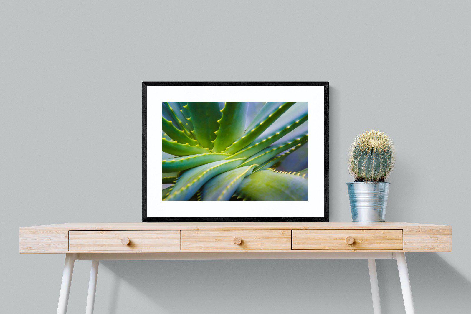 Aloe Vera-Wall_Art-80 x 60cm-Framed Print-Black-Pixalot