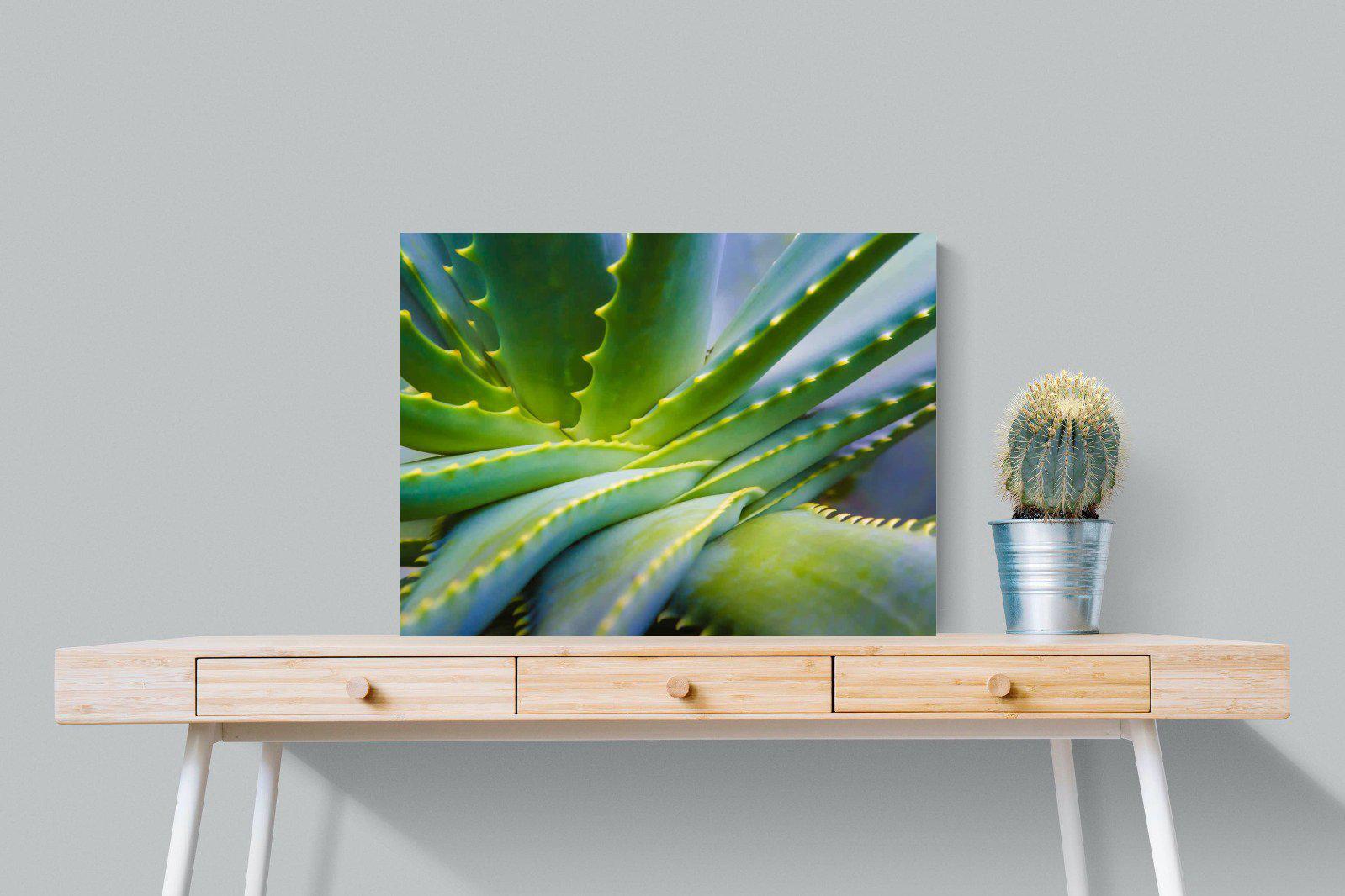Aloe Vera-Wall_Art-80 x 60cm-Mounted Canvas-No Frame-Pixalot