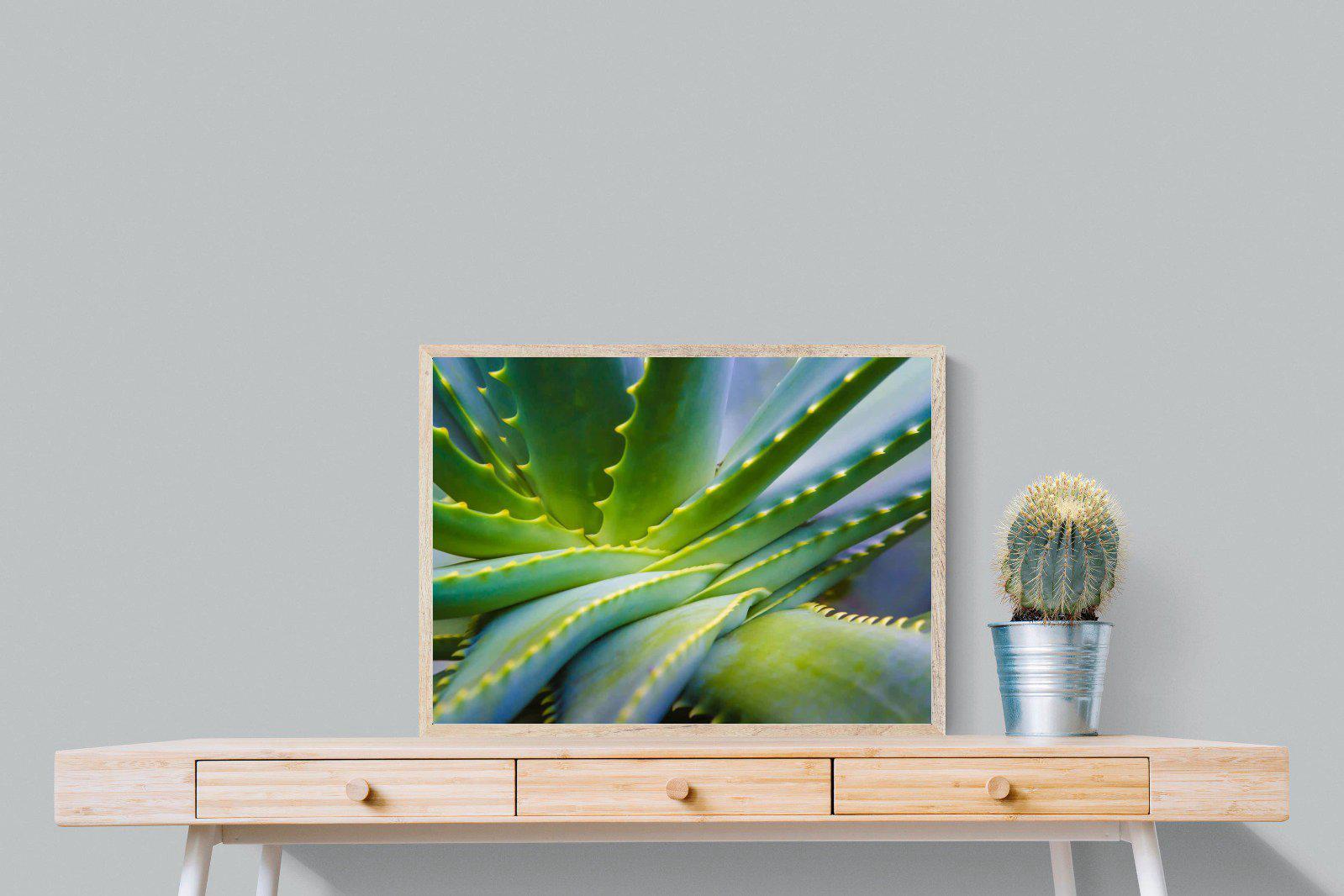 Aloe Vera-Wall_Art-80 x 60cm-Mounted Canvas-Wood-Pixalot