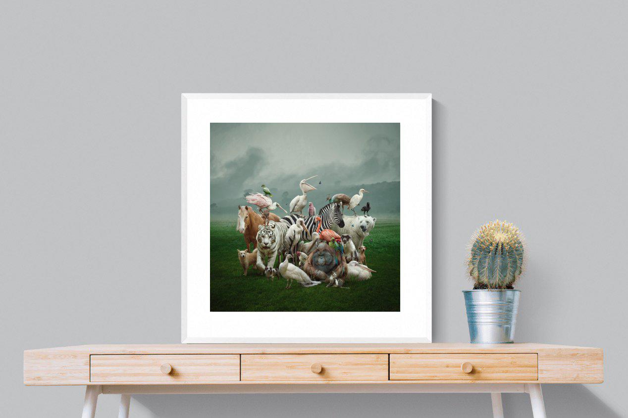 Animal Kingdom-Wall_Art-80 x 80cm-Framed Print-White-Pixalot