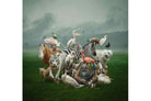 Animal Kingdom-Wall_Art-Pixalot