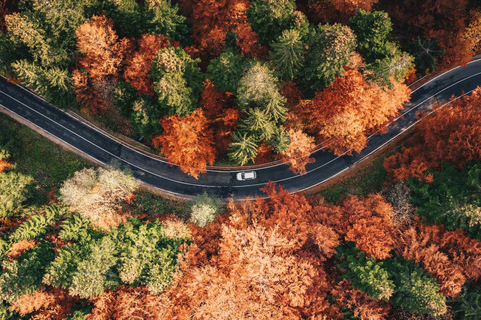 Autumn Drive-Wall_Art-Pixalot