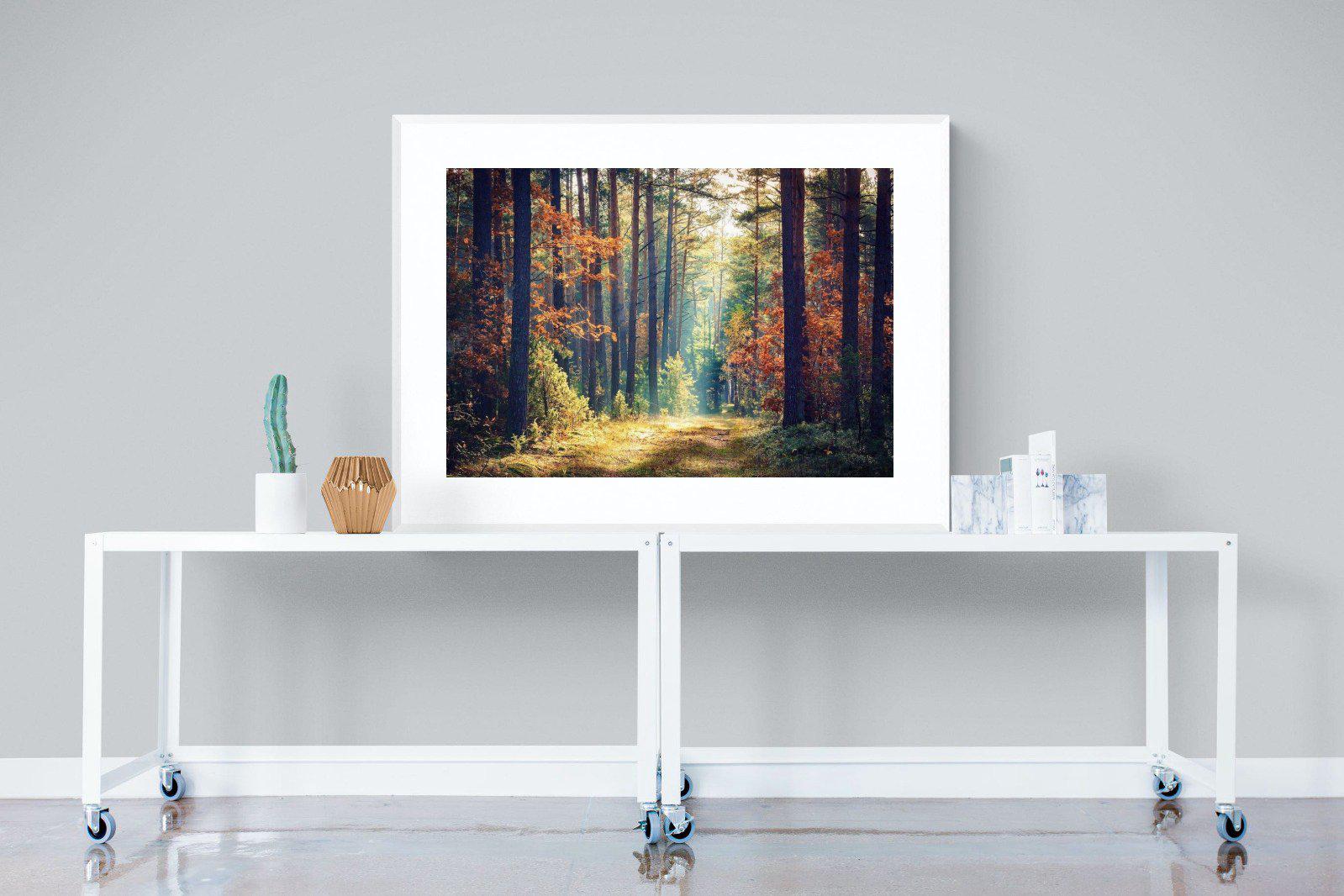 Autumn Forest-Wall_Art-120 x 90cm-Framed Print-White-Pixalot