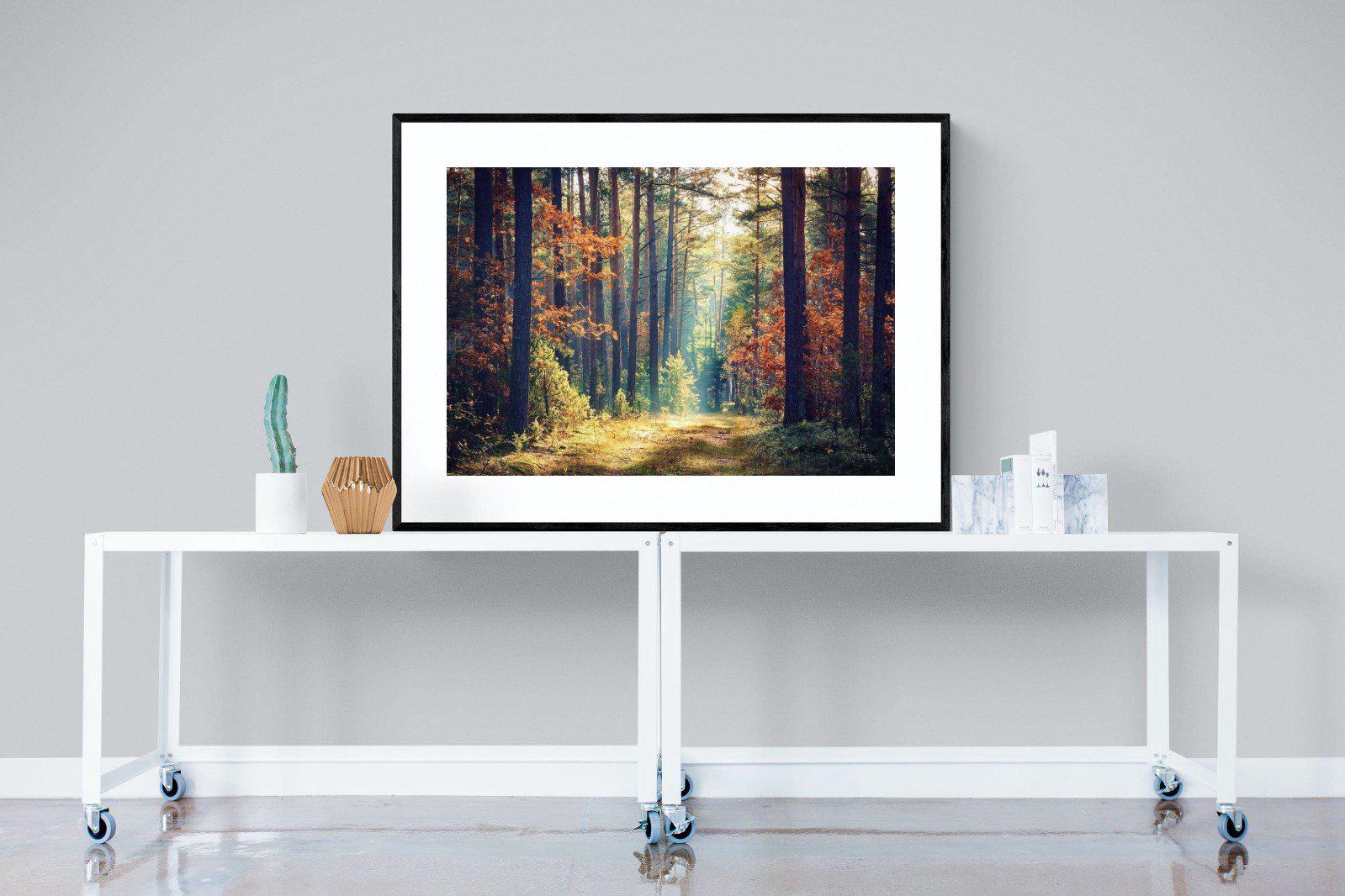 Autumn Forest-Wall_Art-120 x 90cm-Framed Print-Black-Pixalot