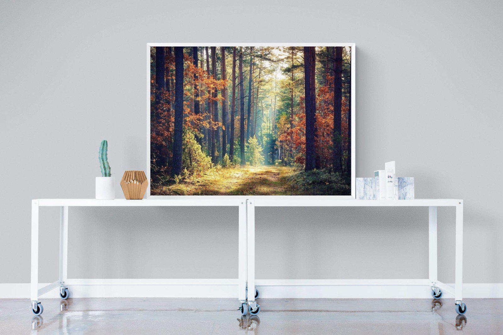 Autumn Forest-Wall_Art-120 x 90cm-Mounted Canvas-White-Pixalot