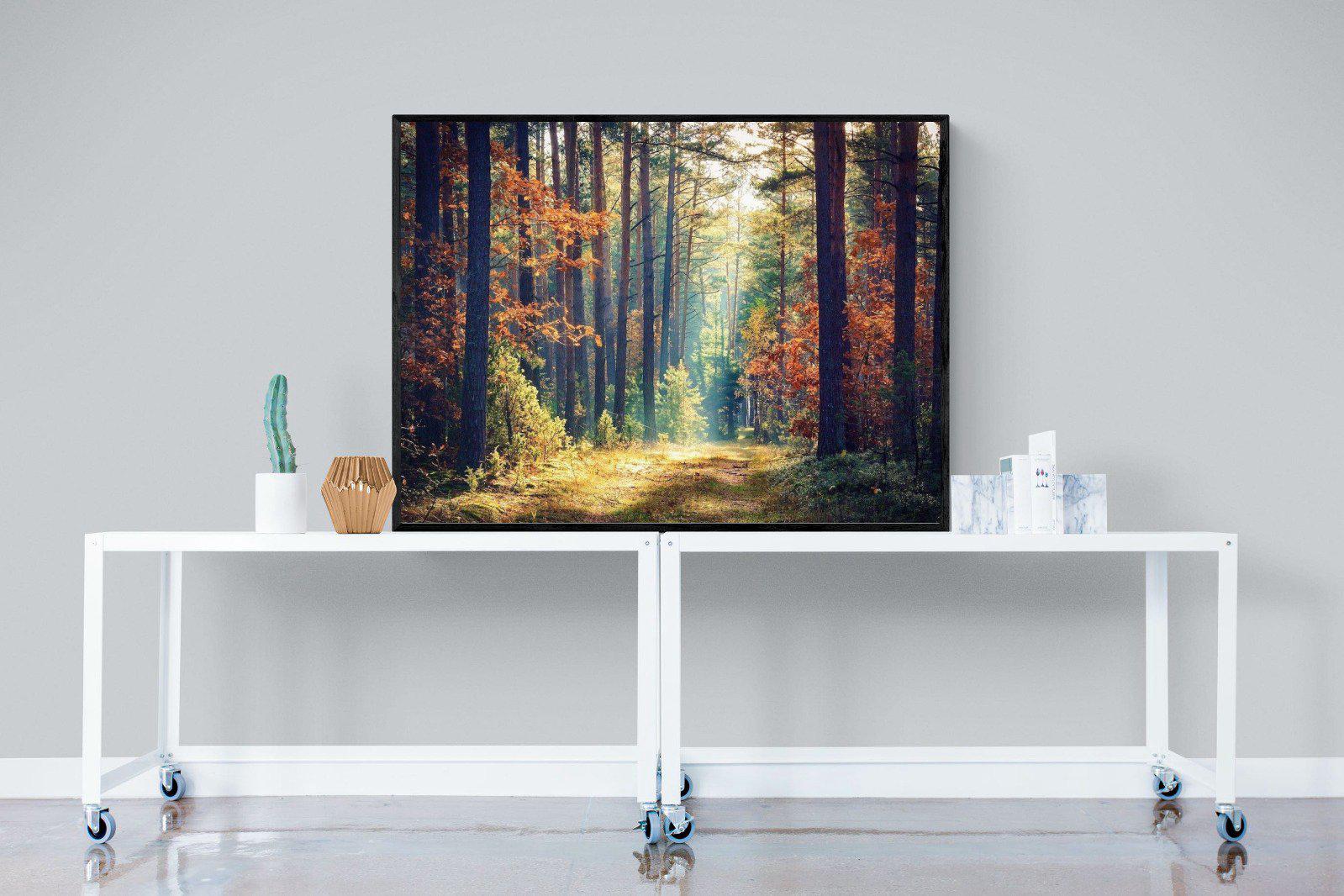 Autumn Forest-Wall_Art-120 x 90cm-Mounted Canvas-Black-Pixalot