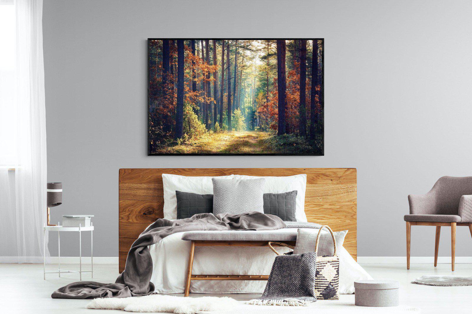 Autumn Forest-Wall_Art-150 x 100cm-Mounted Canvas-Black-Pixalot