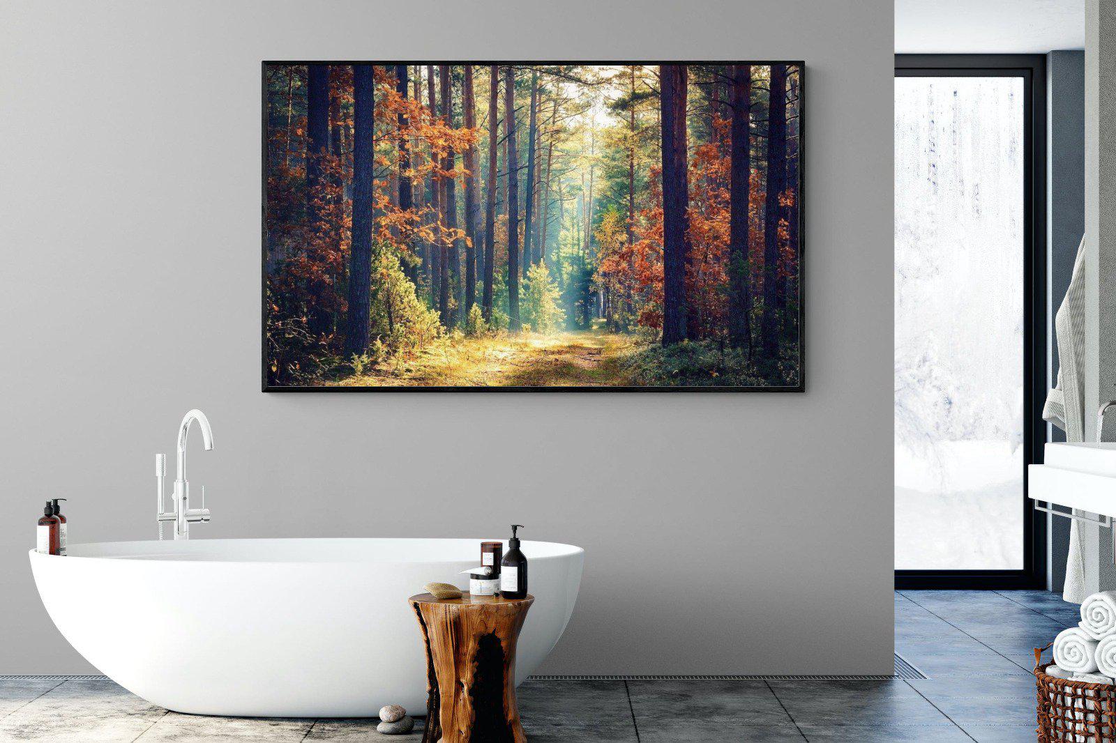 Autumn Forest-Wall_Art-180 x 110cm-Mounted Canvas-Black-Pixalot