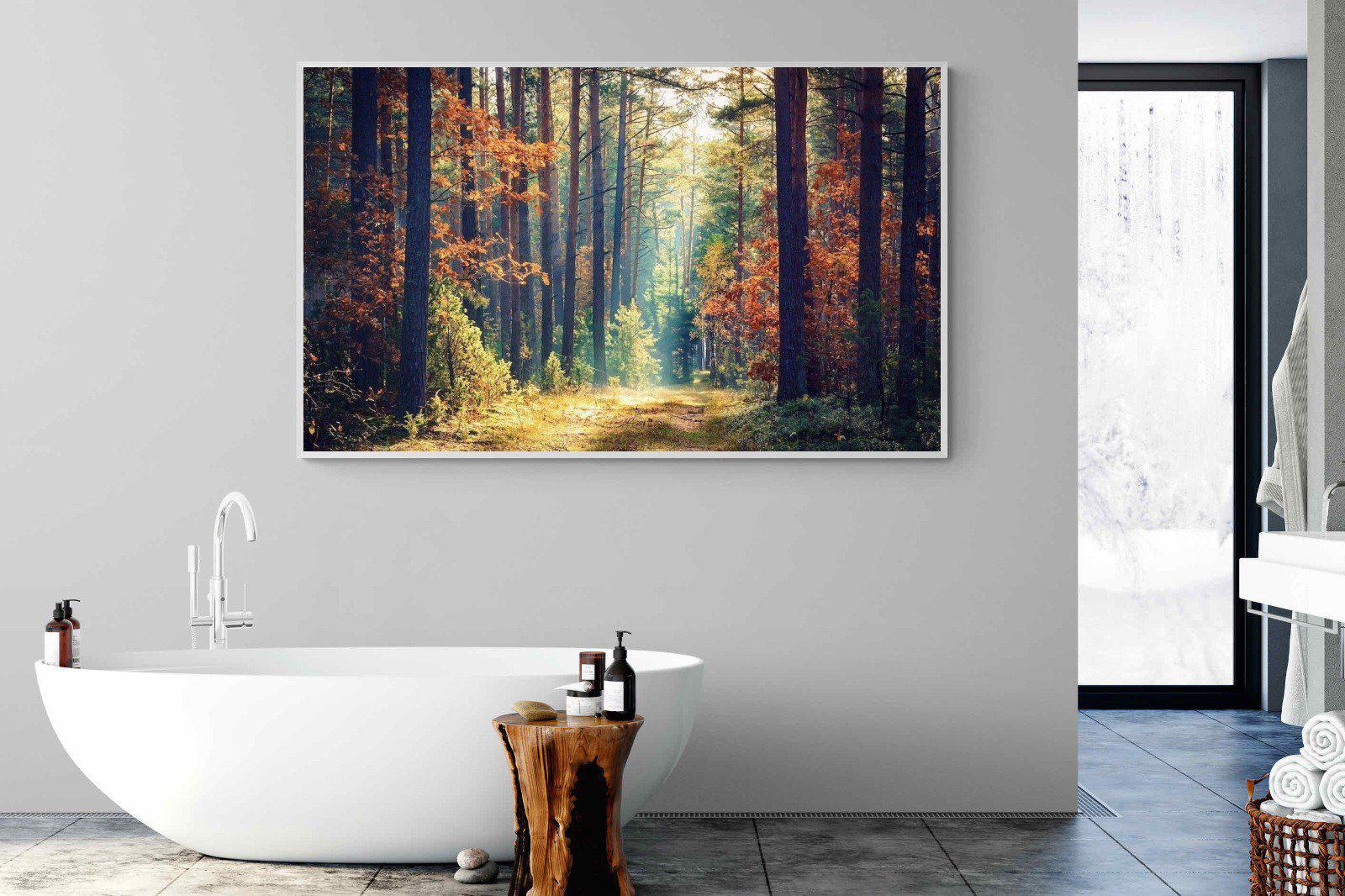 Autumn Forest-Wall_Art-180 x 110cm-Mounted Canvas-White-Pixalot