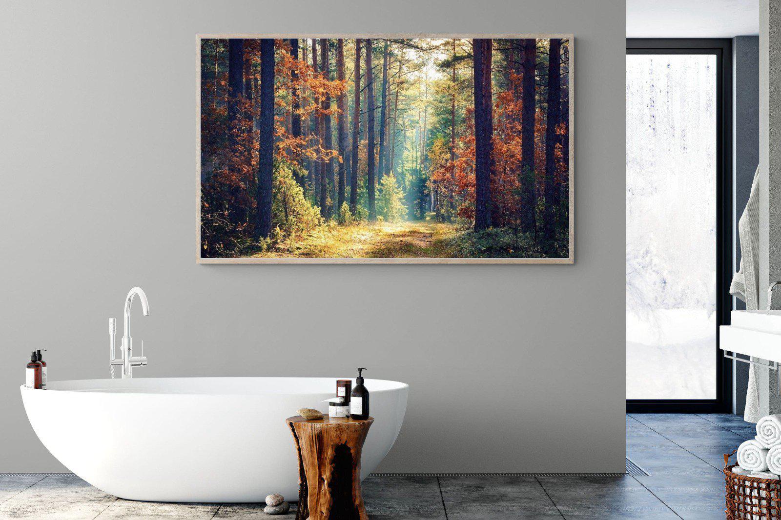Autumn Forest-Wall_Art-180 x 110cm-Mounted Canvas-Wood-Pixalot