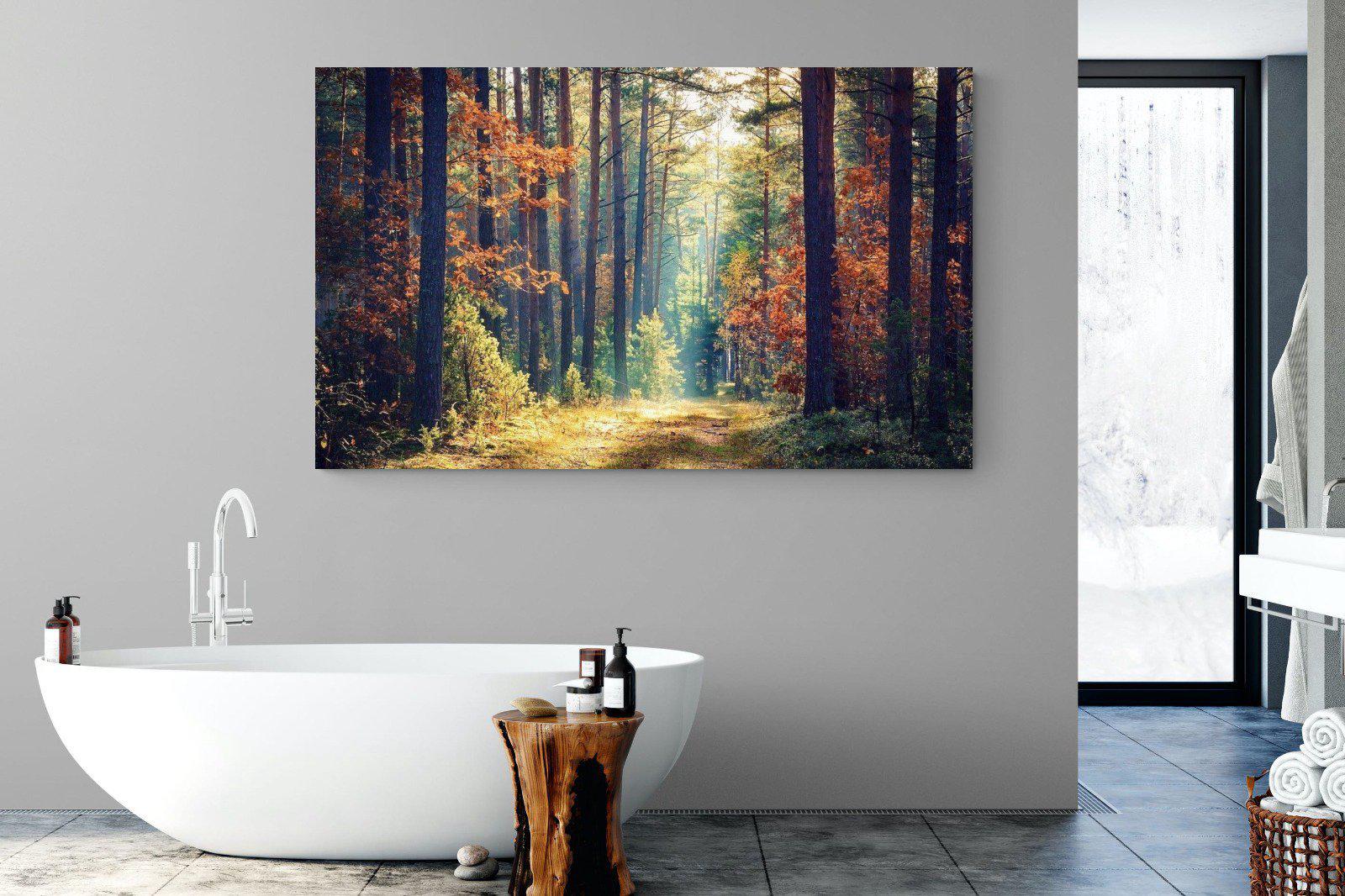 Autumn Forest-Wall_Art-180 x 110cm-Mounted Canvas-No Frame-Pixalot