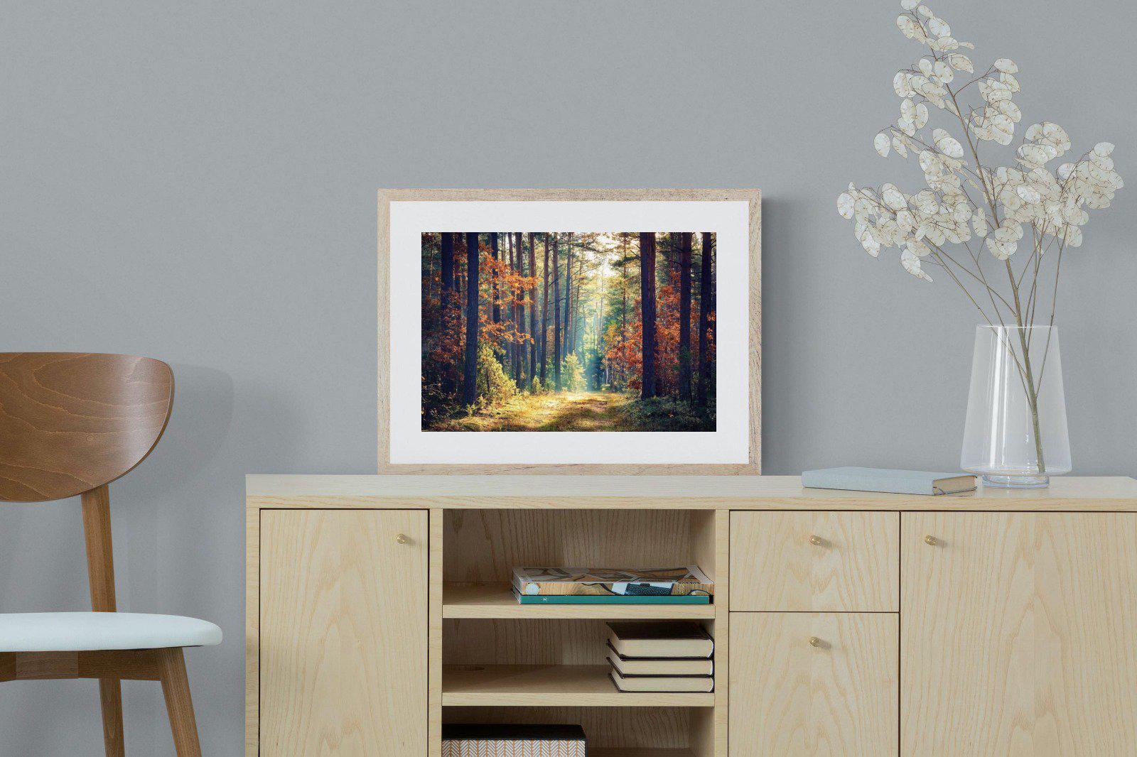 Autumn Forest-Wall_Art-60 x 45cm-Framed Print-Wood-Pixalot