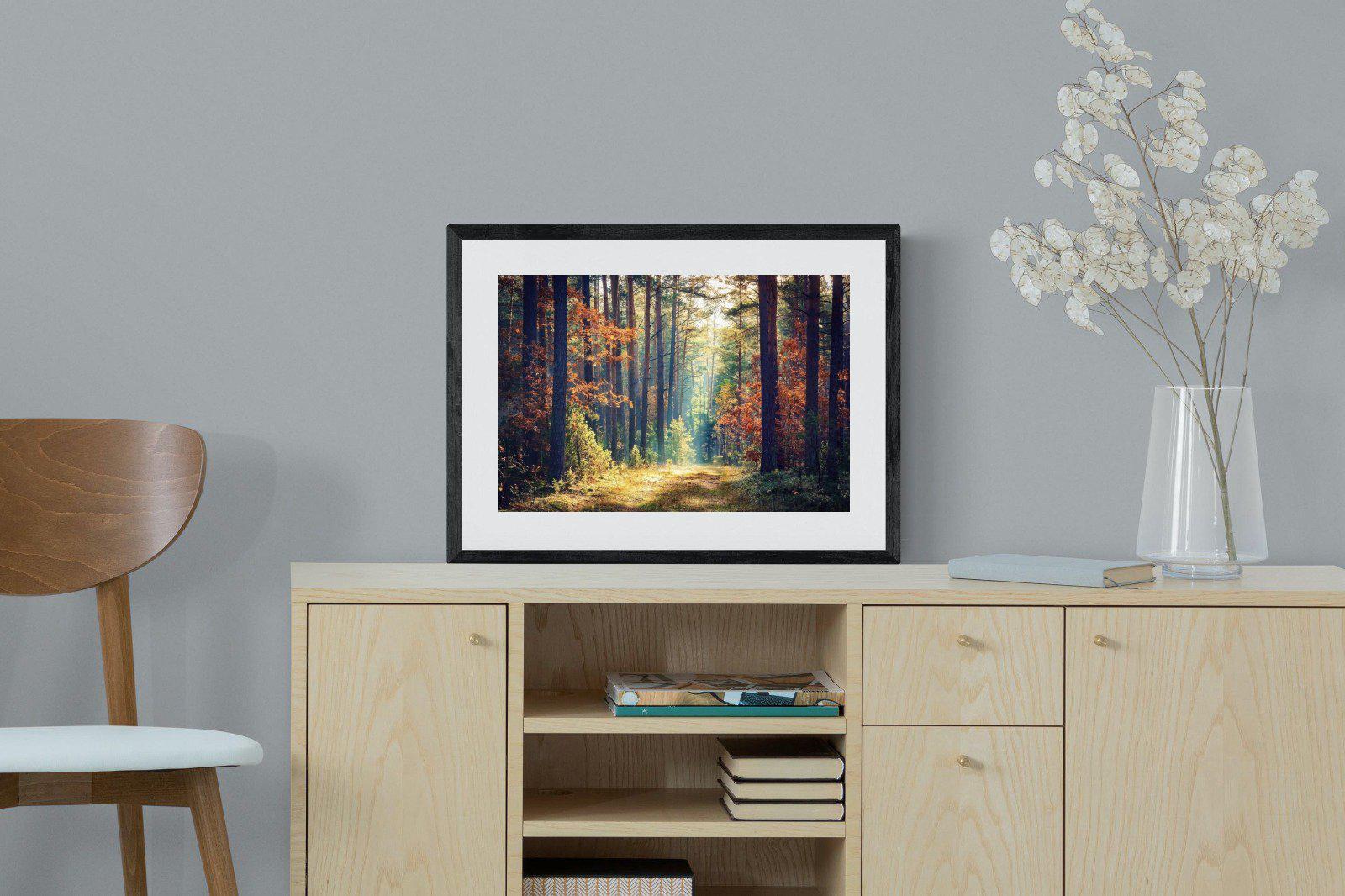 Autumn Forest-Wall_Art-60 x 45cm-Framed Print-Black-Pixalot