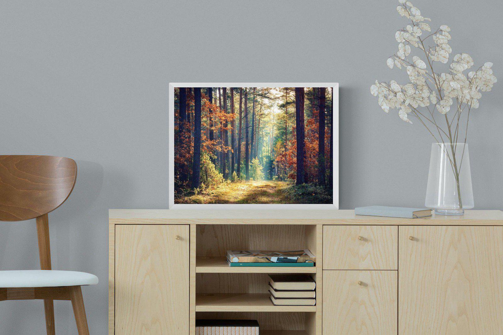 Autumn Forest-Wall_Art-60 x 45cm-Mounted Canvas-White-Pixalot