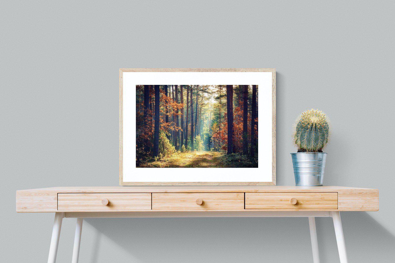 Autumn Forest-Wall_Art-80 x 60cm-Framed Print-Wood-Pixalot