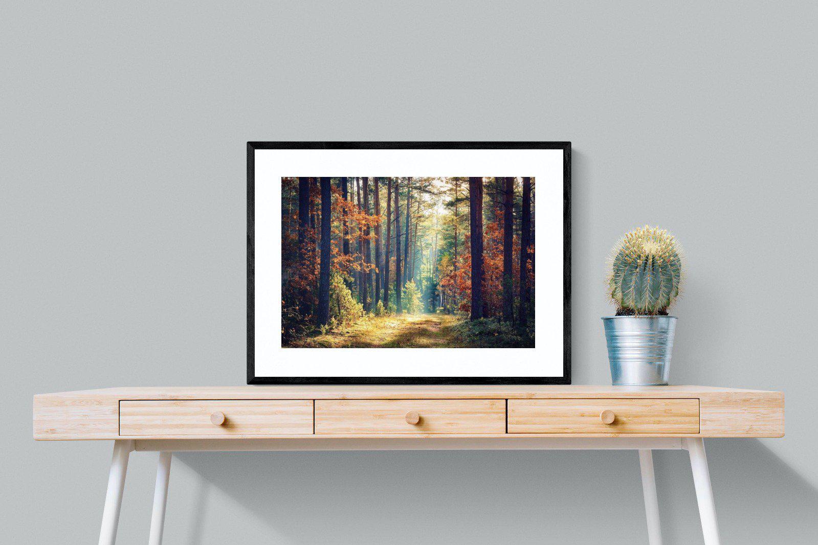 Autumn Forest-Wall_Art-80 x 60cm-Framed Print-Black-Pixalot