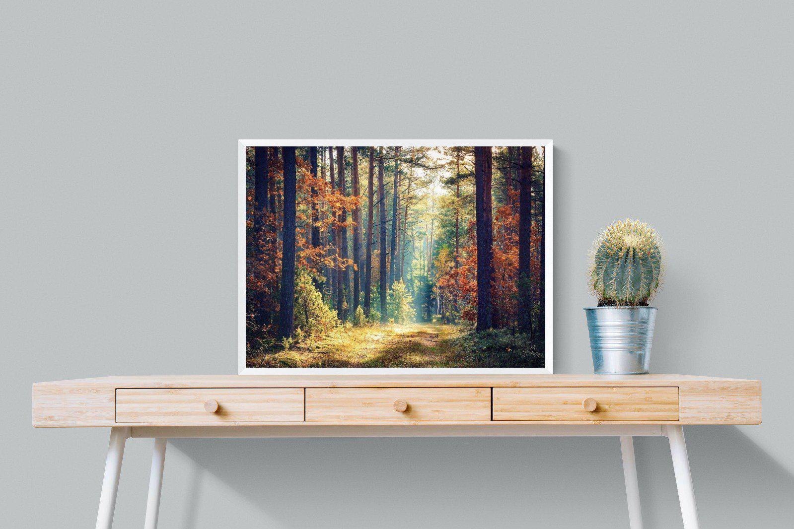 Autumn Forest-Wall_Art-80 x 60cm-Mounted Canvas-White-Pixalot