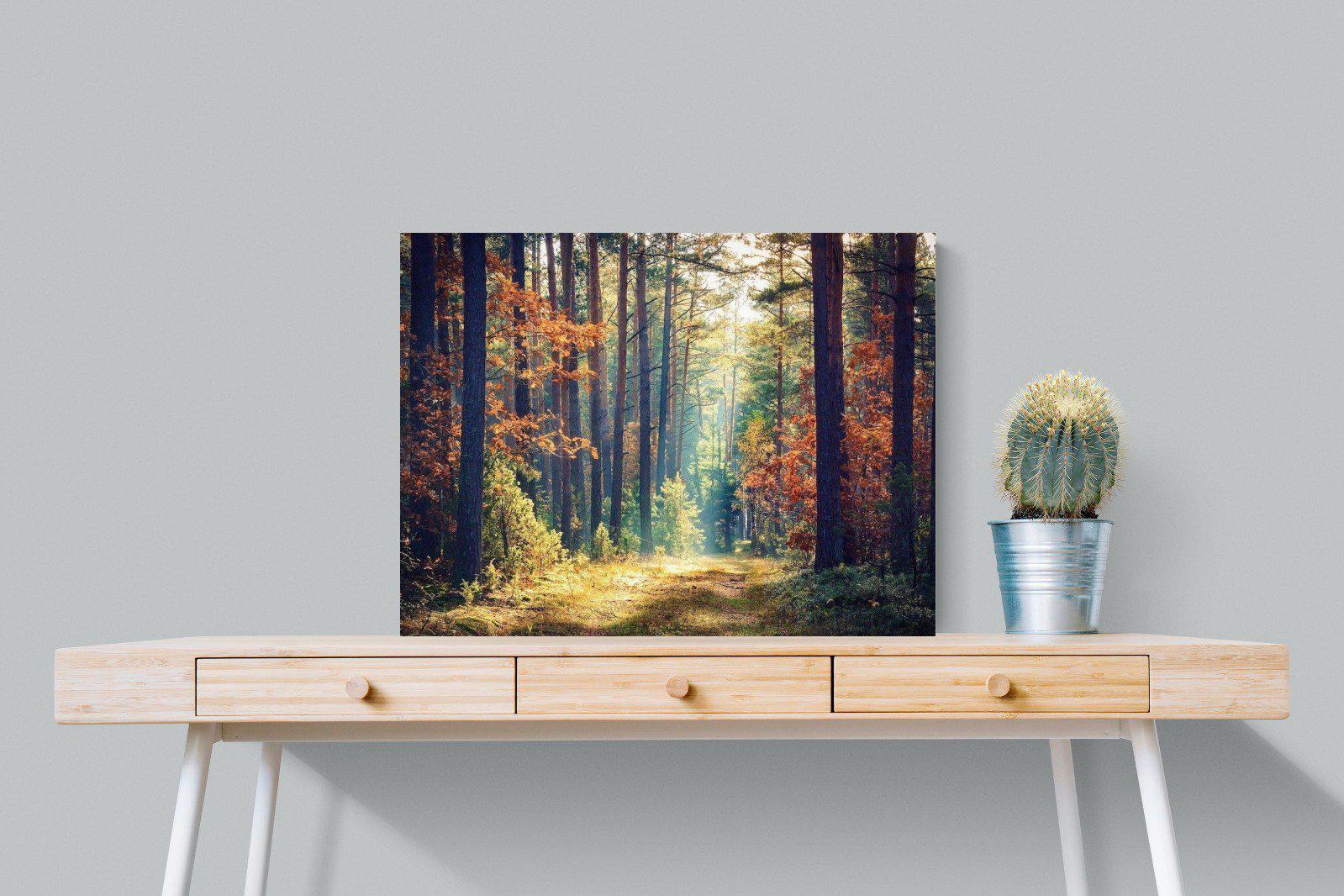 Autumn Forest-Wall_Art-80 x 60cm-Mounted Canvas-No Frame-Pixalot