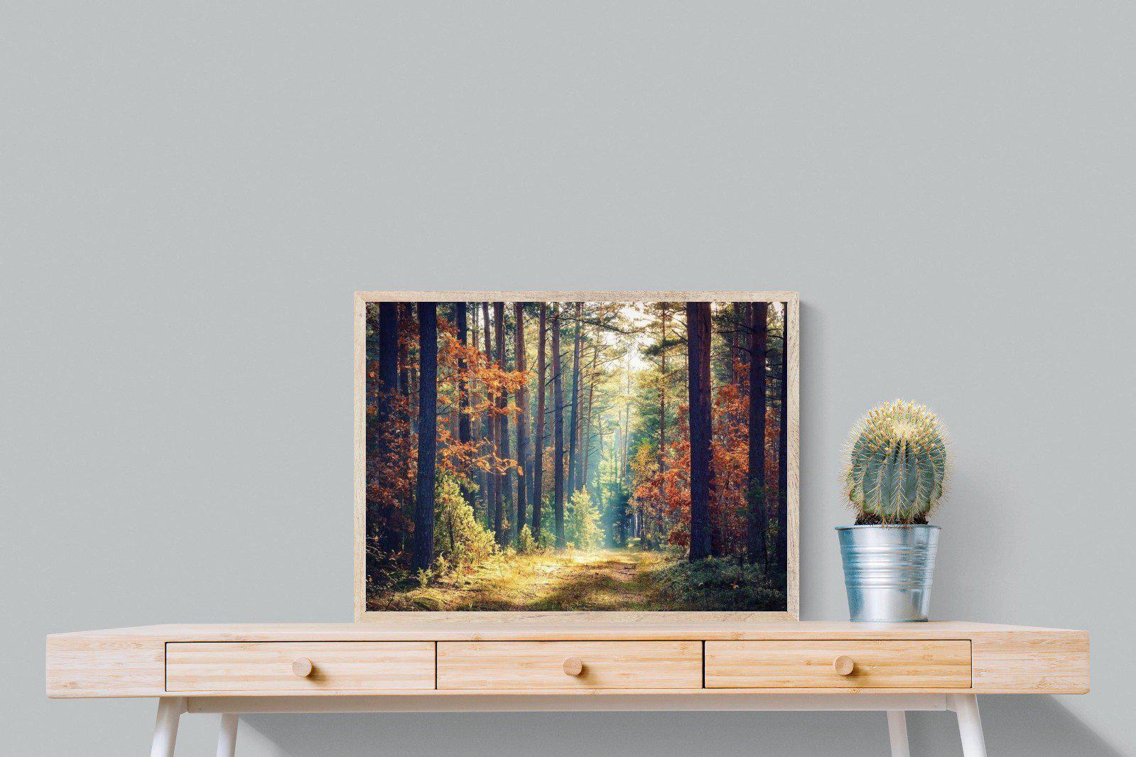 Autumn Forest-Wall_Art-80 x 60cm-Mounted Canvas-Wood-Pixalot