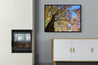 Autumn Tree Leaves-Wall_Art-100 x 75cm-Mounted Canvas-Black-Pixalot