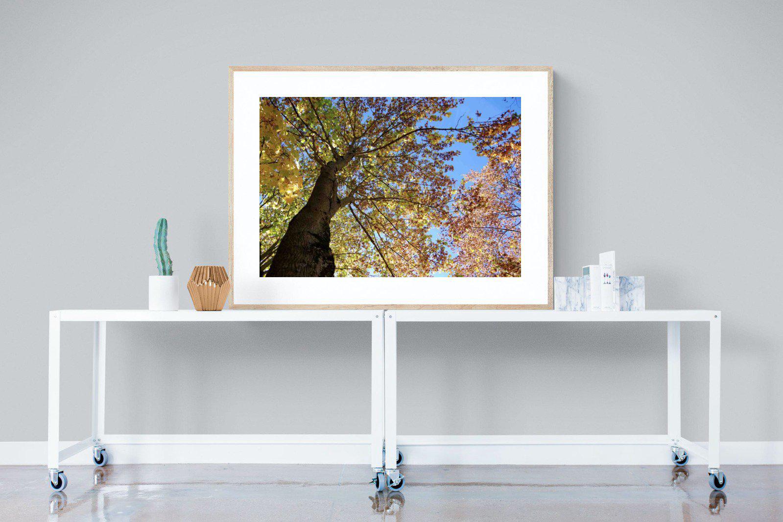 Autumn Tree Leaves-Wall_Art-120 x 90cm-Framed Print-Wood-Pixalot