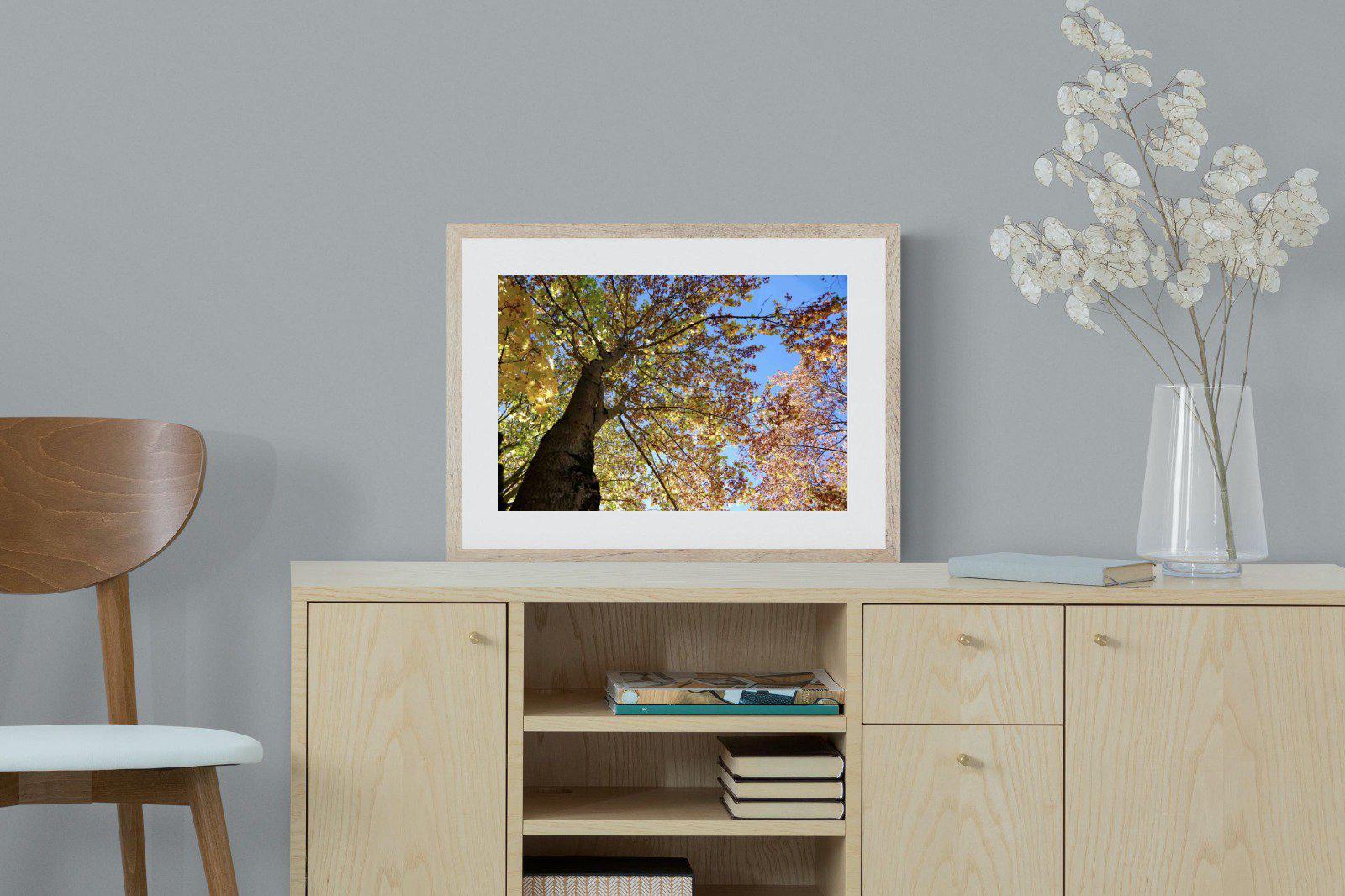 Autumn Tree Leaves-Wall_Art-60 x 45cm-Framed Print-Wood-Pixalot