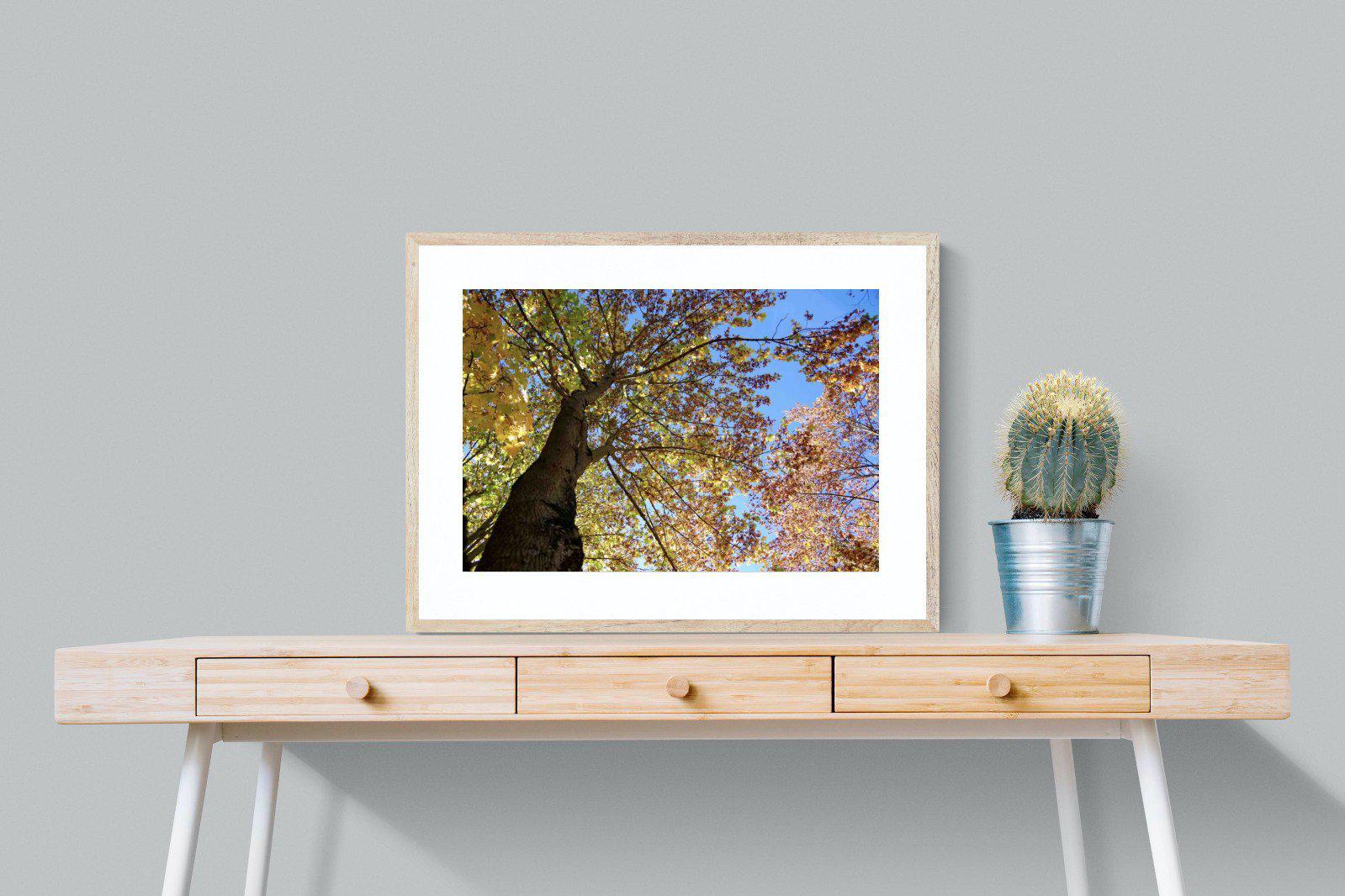 Autumn Tree Leaves-Wall_Art-80 x 60cm-Framed Print-Wood-Pixalot