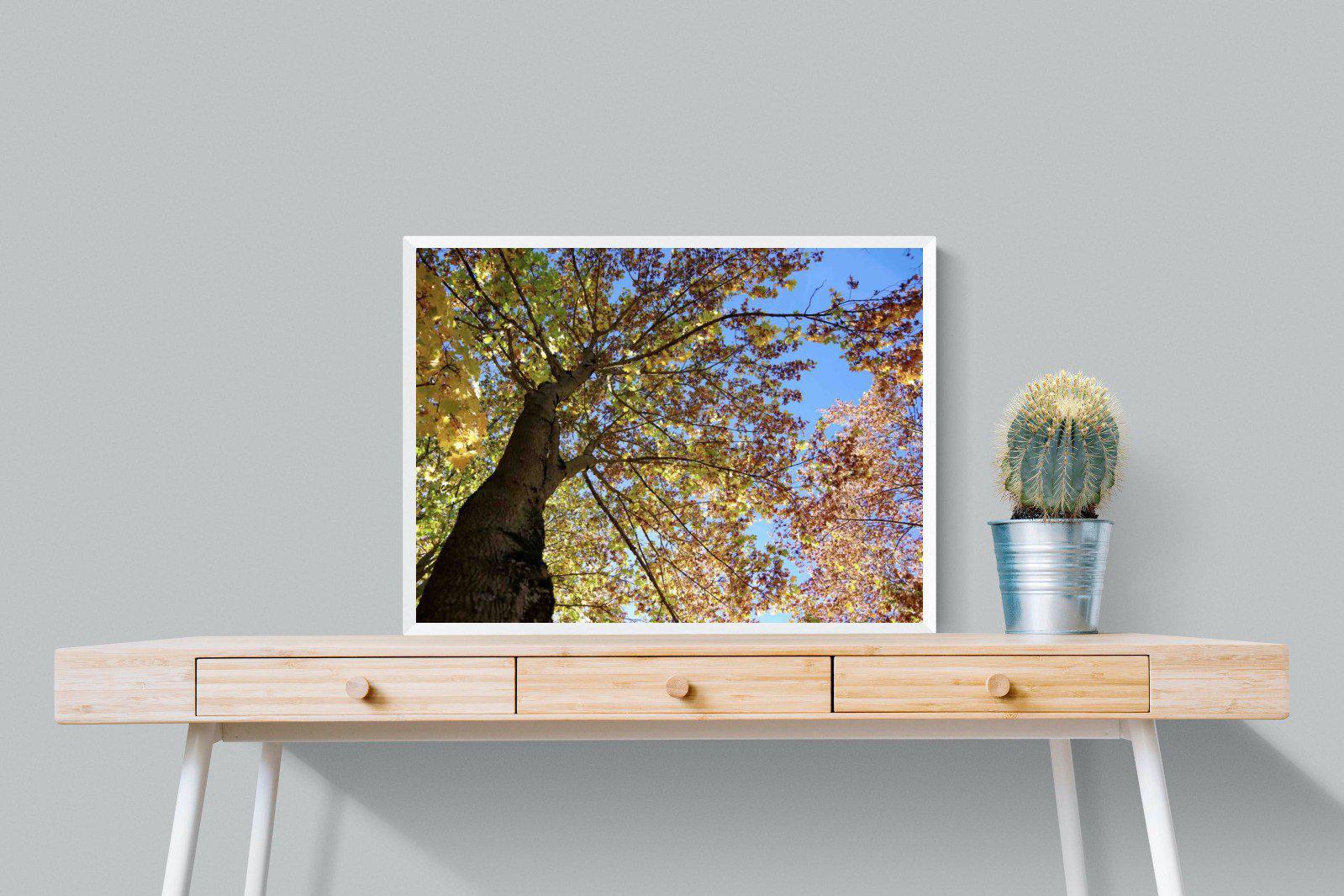 Autumn Tree Leaves-Wall_Art-80 x 60cm-Mounted Canvas-White-Pixalot