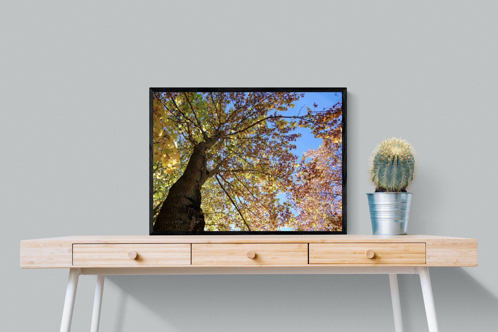Autumn Tree Leaves-Wall_Art-80 x 60cm-Mounted Canvas-Black-Pixalot