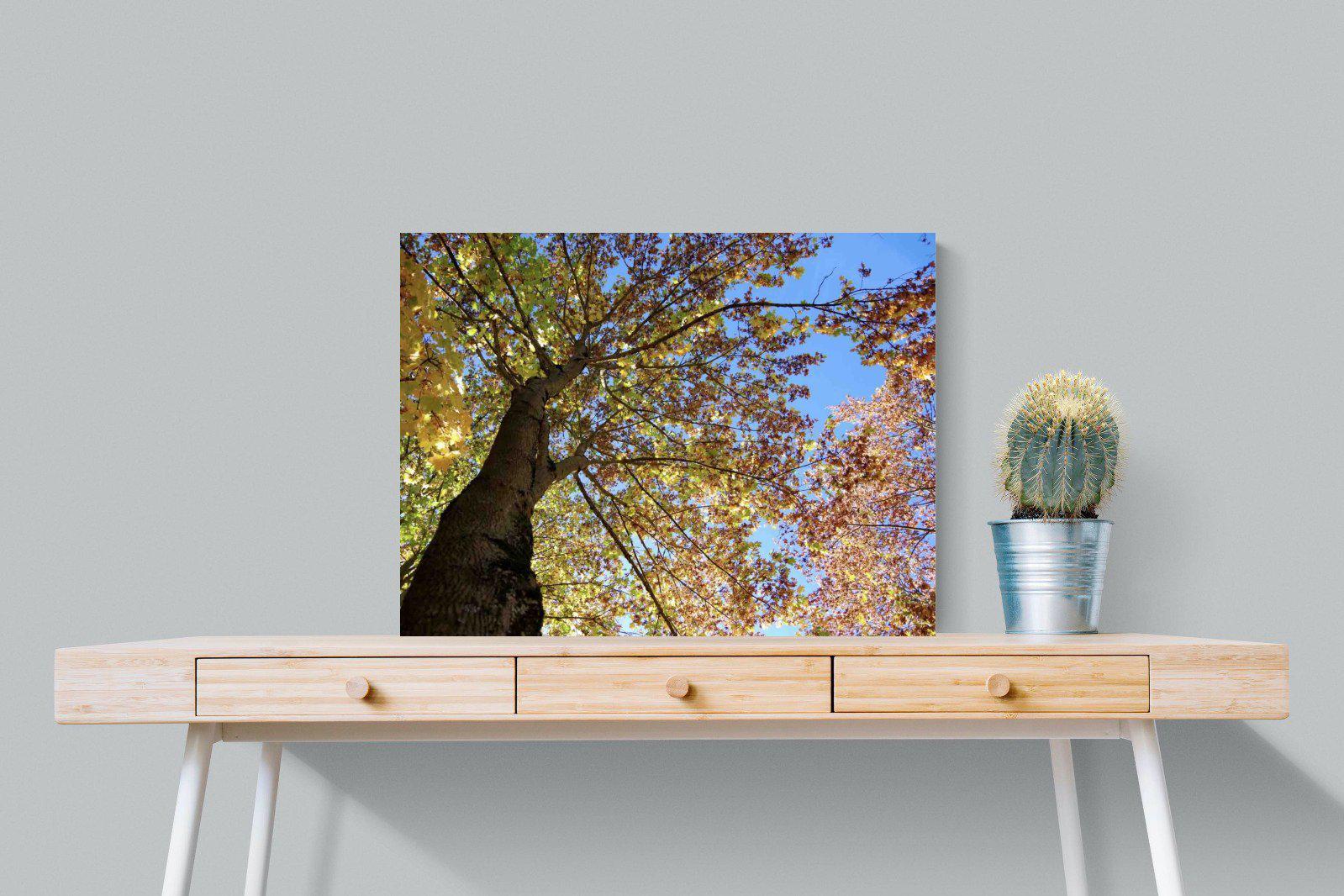 Autumn Tree Leaves-Wall_Art-80 x 60cm-Mounted Canvas-No Frame-Pixalot