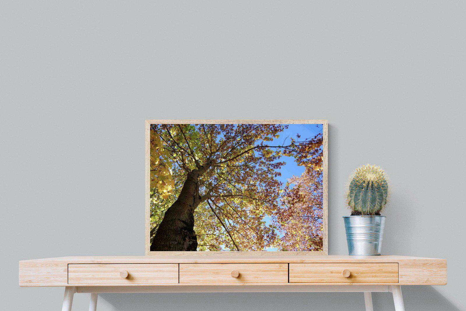 Autumn Tree Leaves-Wall_Art-80 x 60cm-Mounted Canvas-Wood-Pixalot