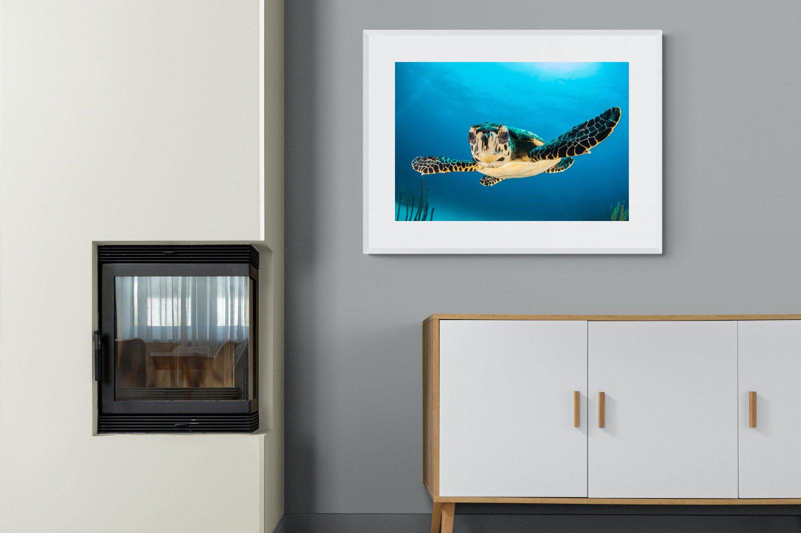 Baby Turtle-Wall_Art-100 x 75cm-Framed Print-White-Pixalot