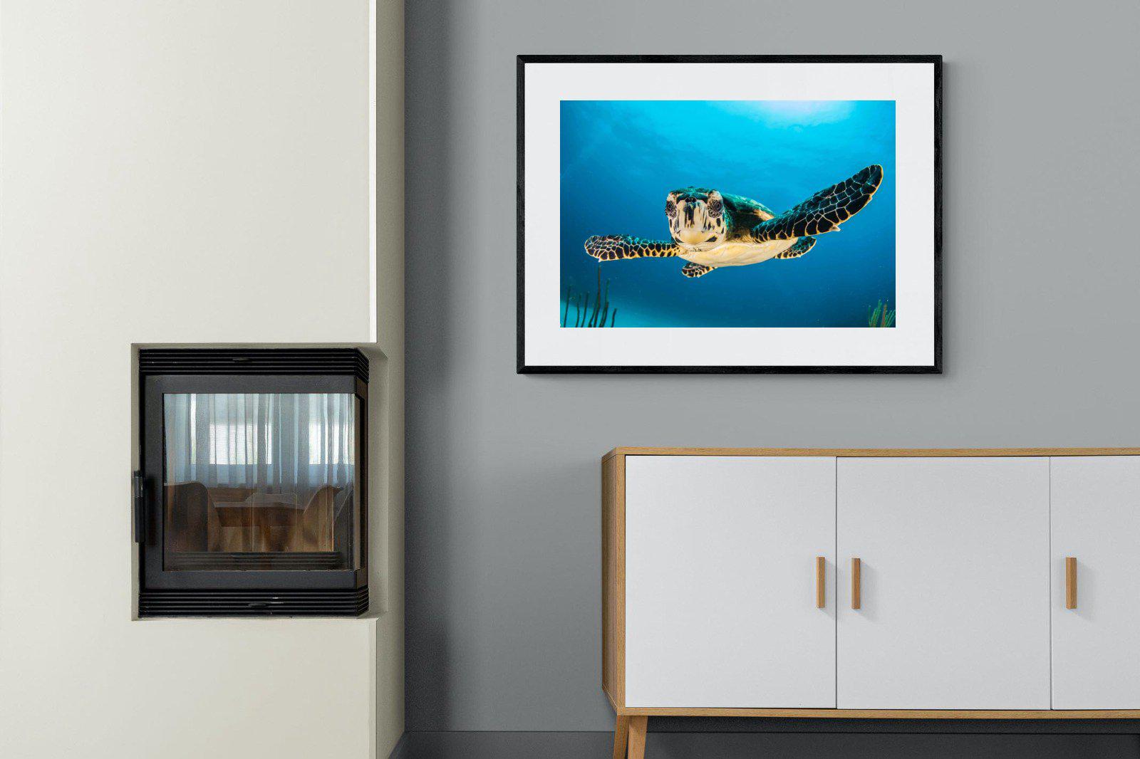 Baby Turtle-Wall_Art-100 x 75cm-Framed Print-Black-Pixalot