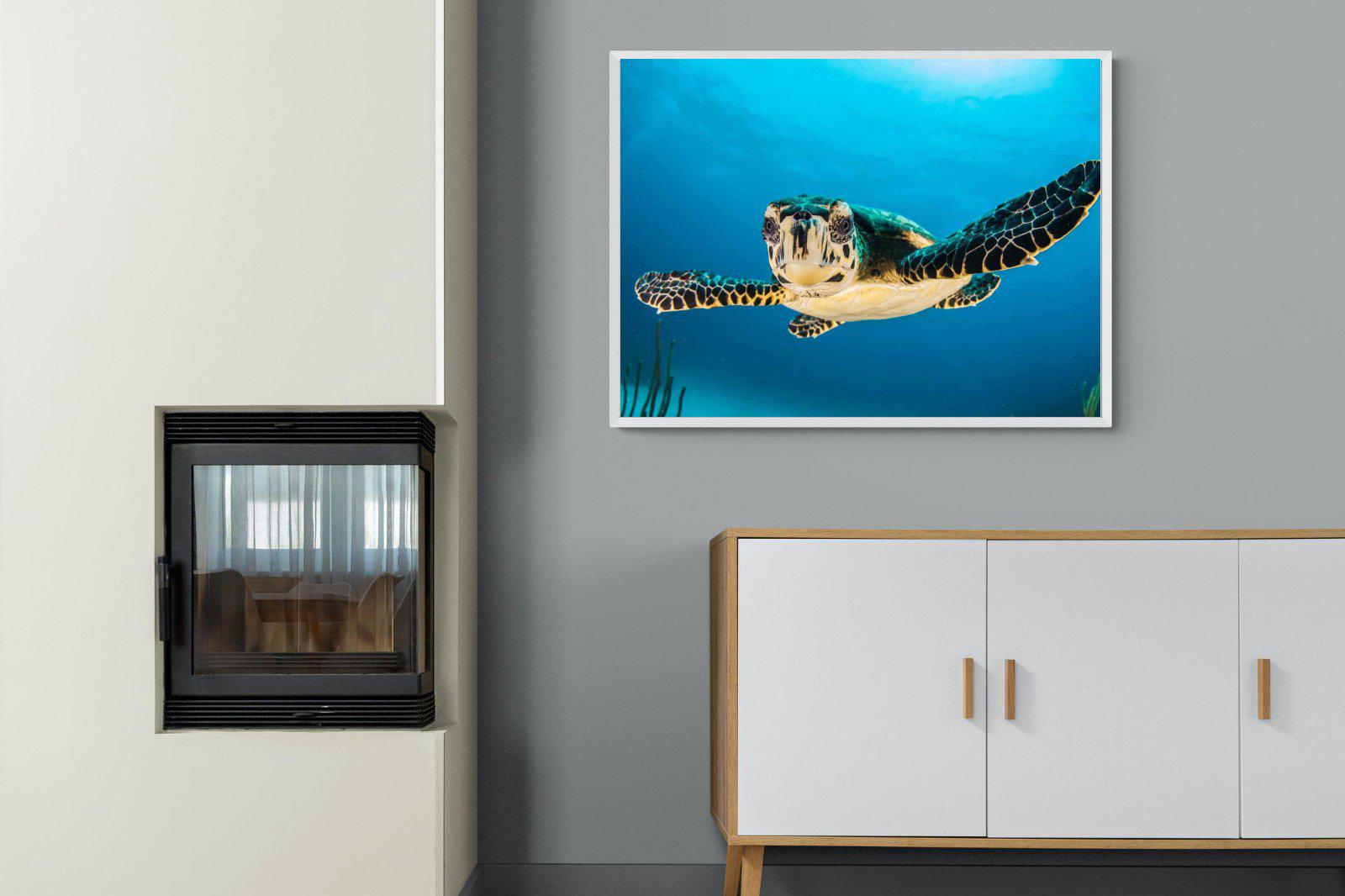 Baby Turtle-Wall_Art-100 x 75cm-Mounted Canvas-White-Pixalot