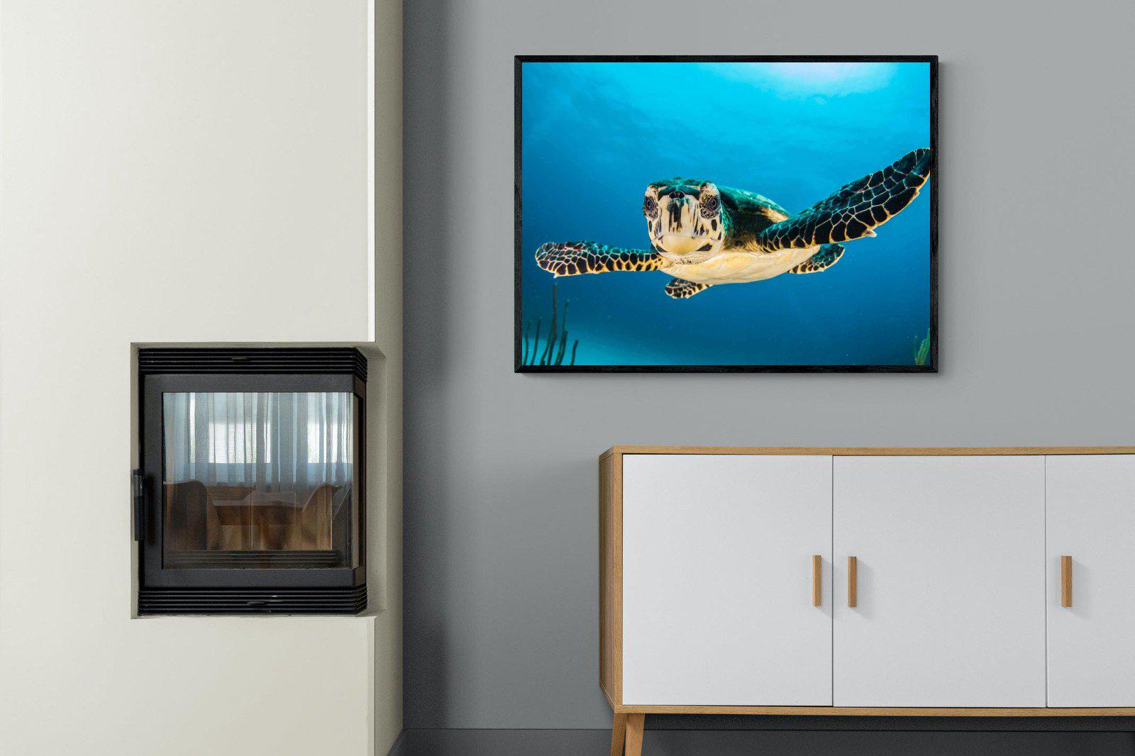 Baby Turtle-Wall_Art-100 x 75cm-Mounted Canvas-Black-Pixalot