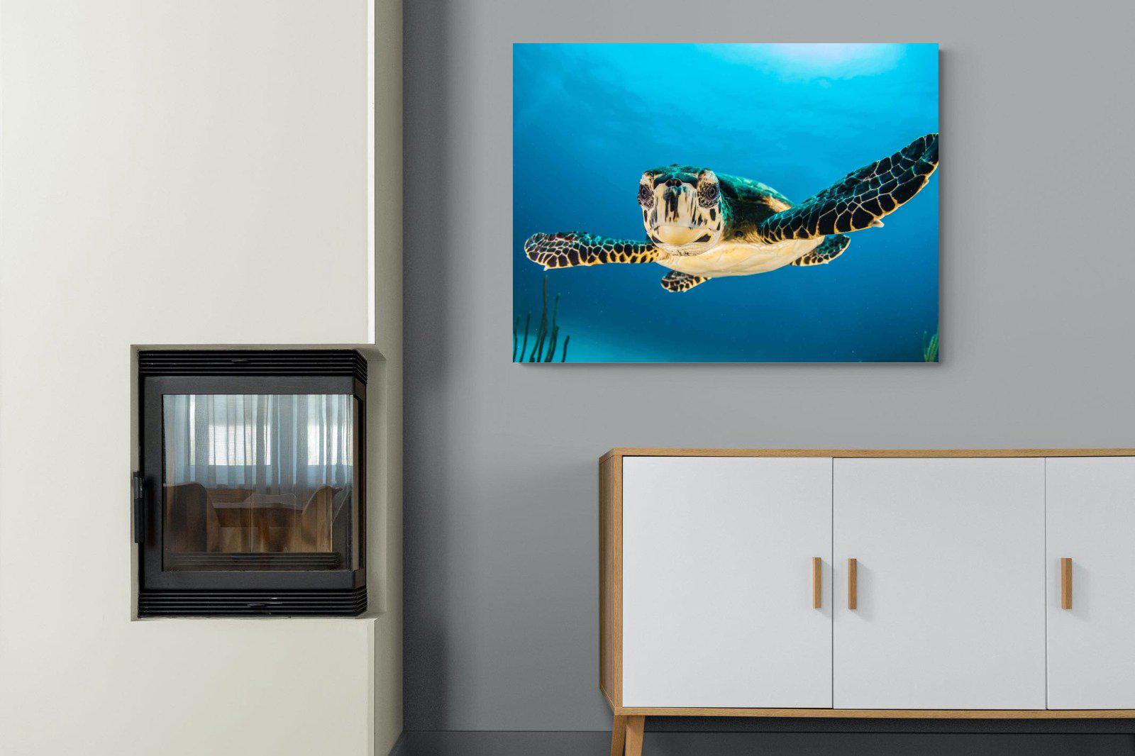 Baby Turtle-Wall_Art-100 x 75cm-Mounted Canvas-No Frame-Pixalot