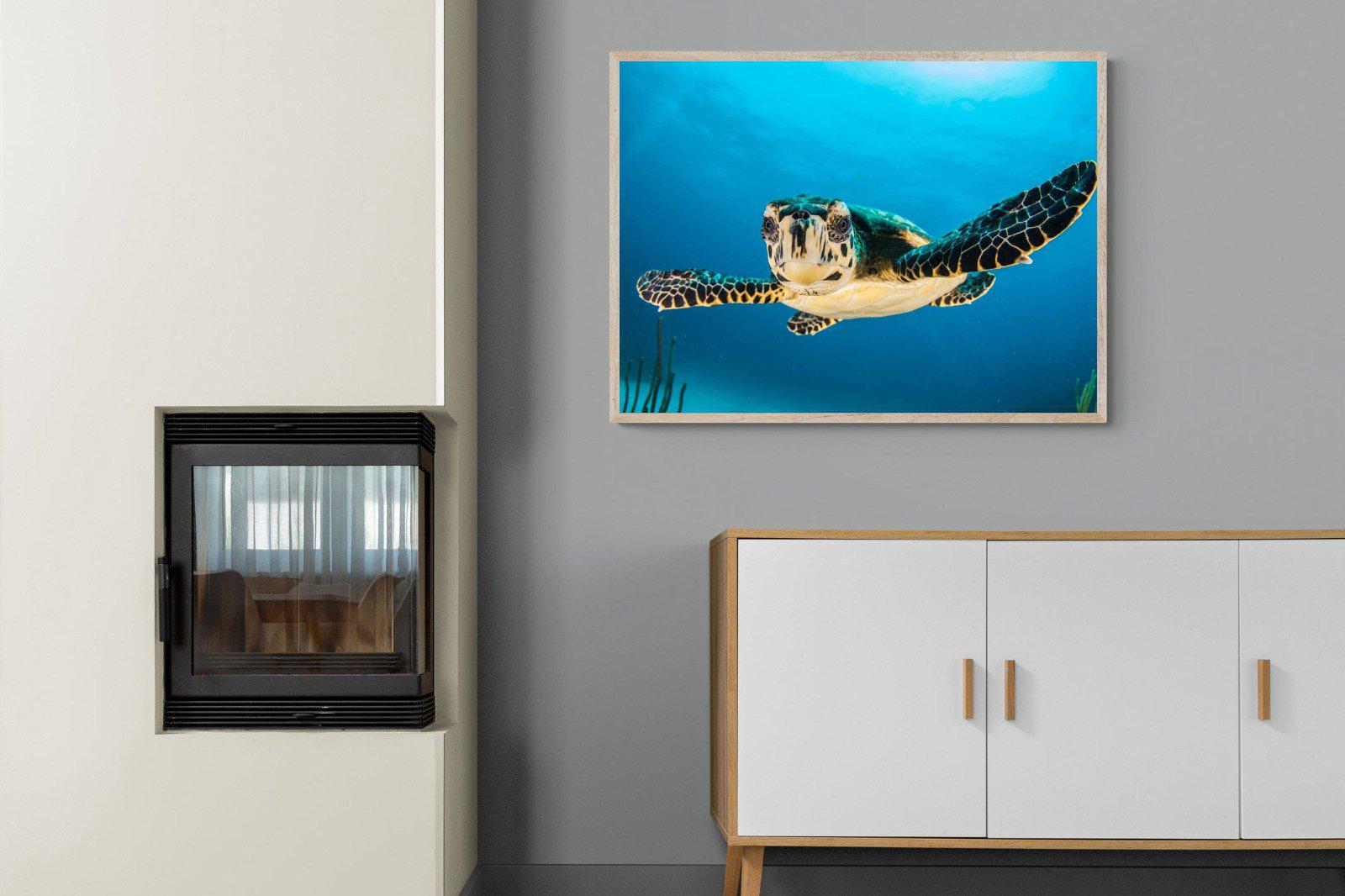 Baby Turtle-Wall_Art-100 x 75cm-Mounted Canvas-Wood-Pixalot
